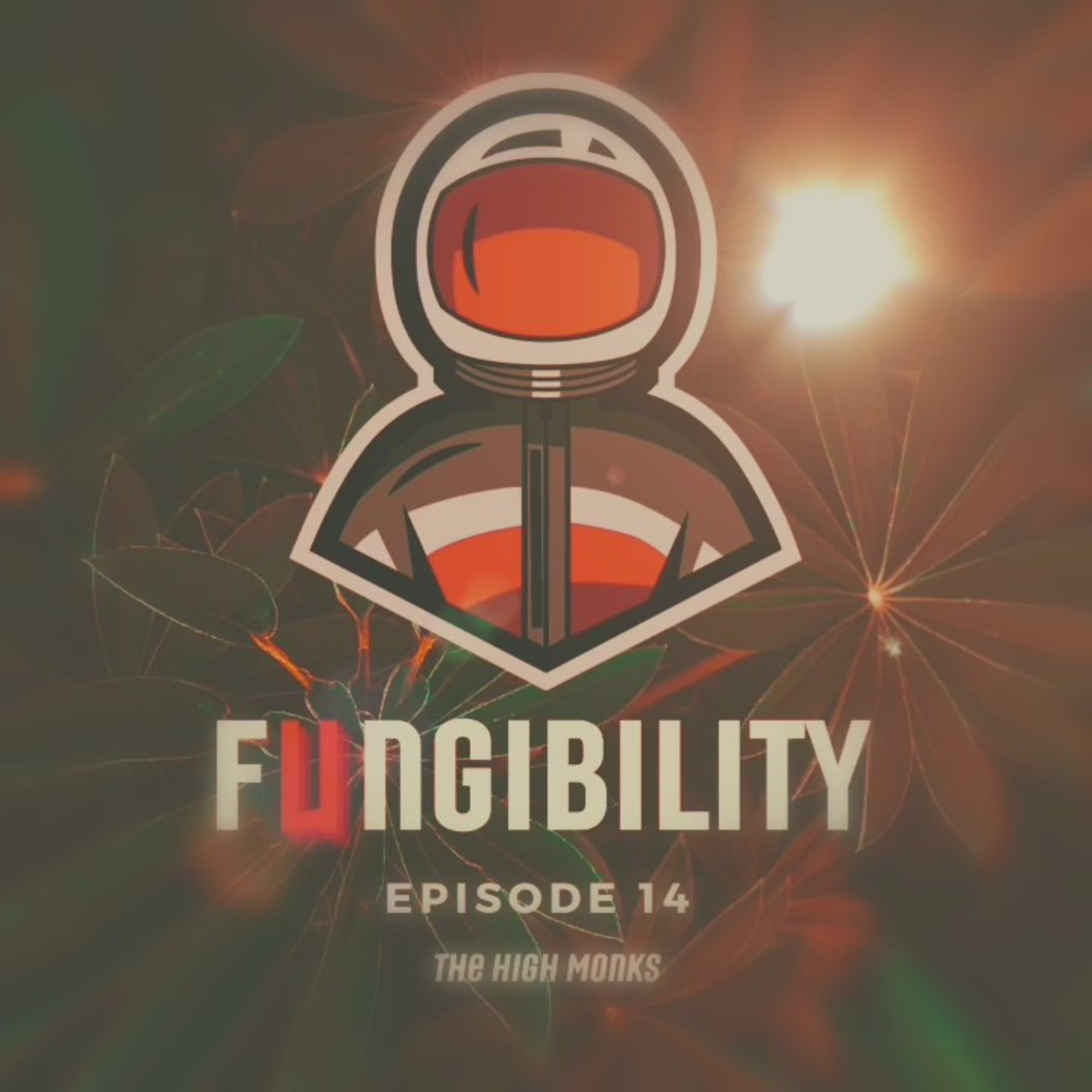 Fungibility NFTs
