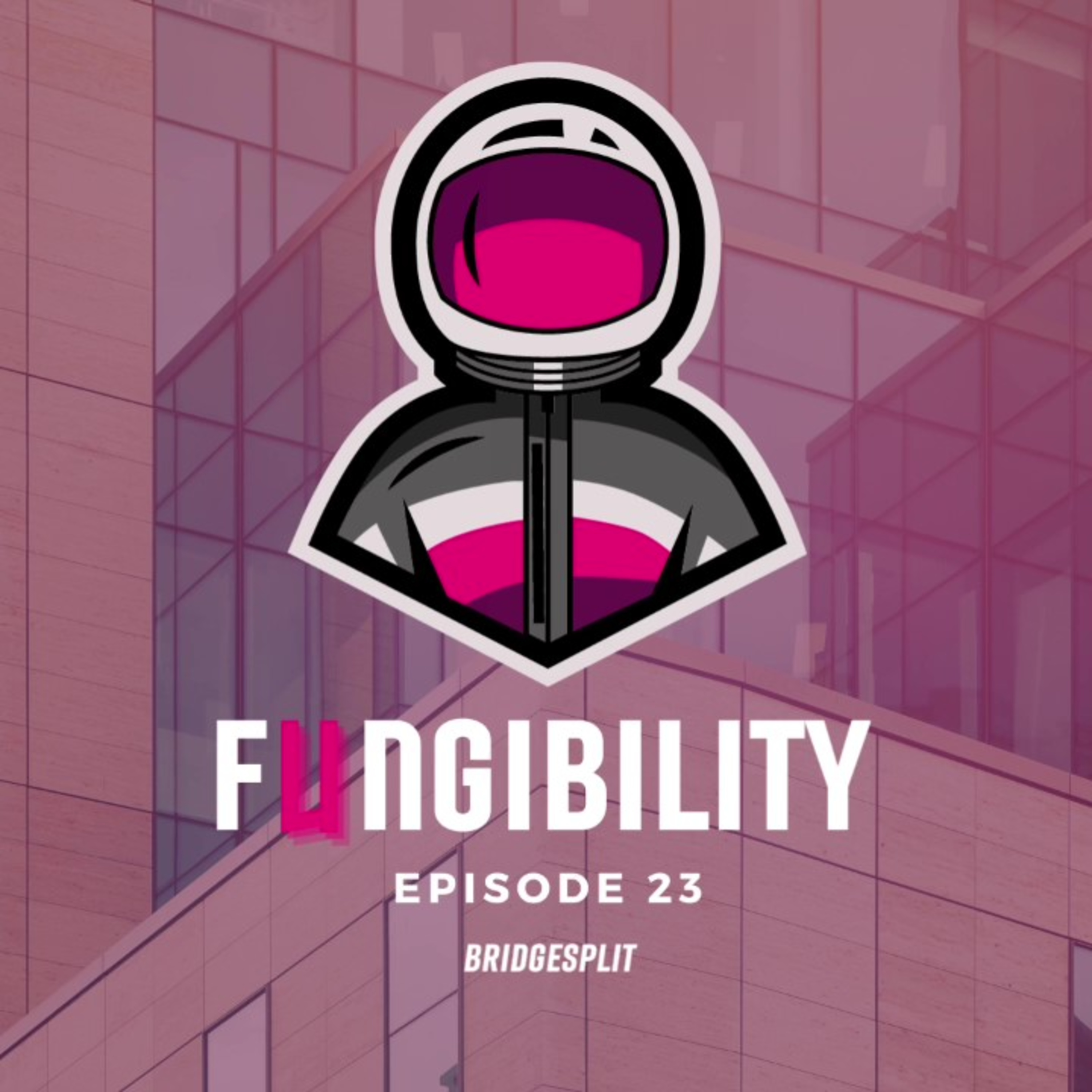 Fungibility NFTs