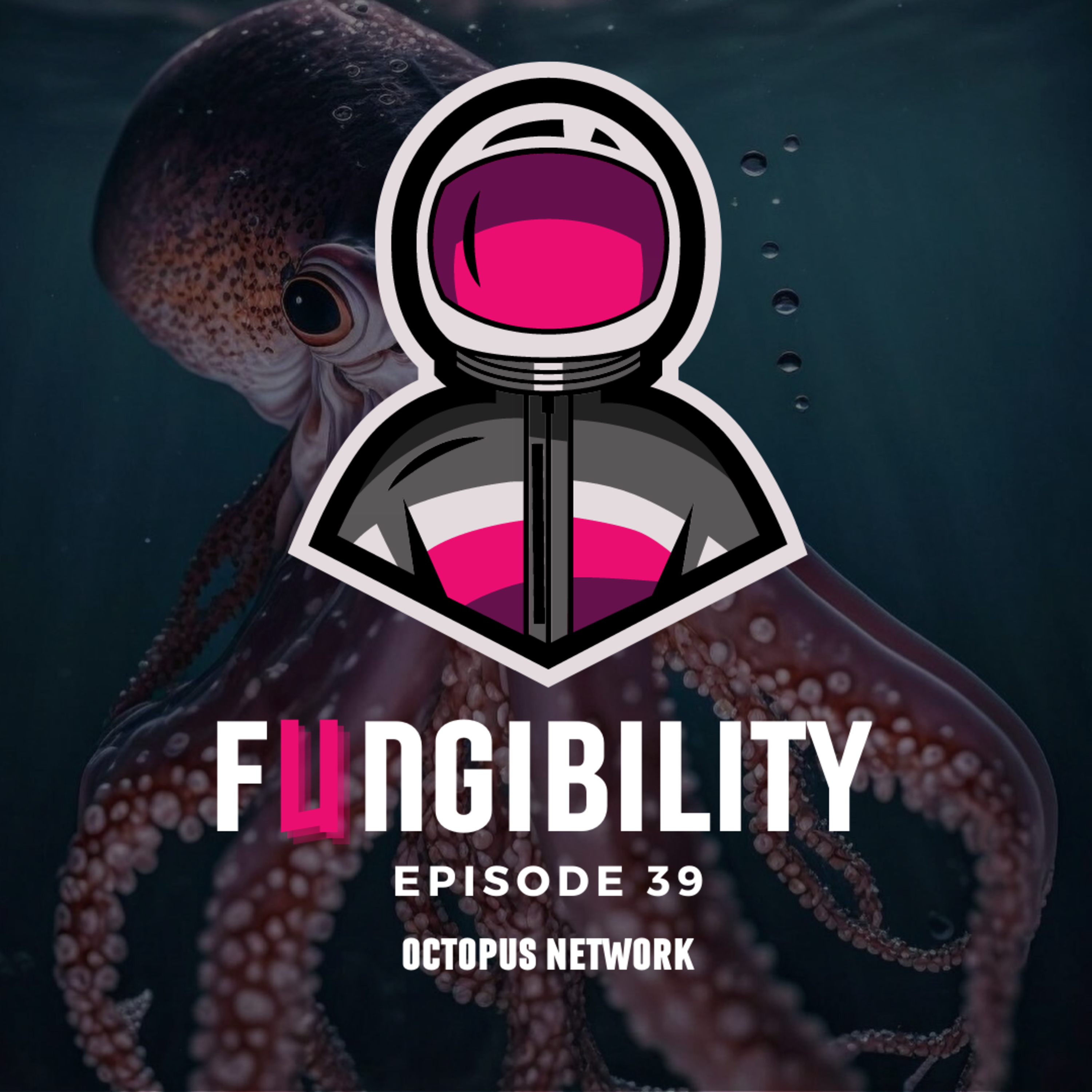 Fungibility NFTs