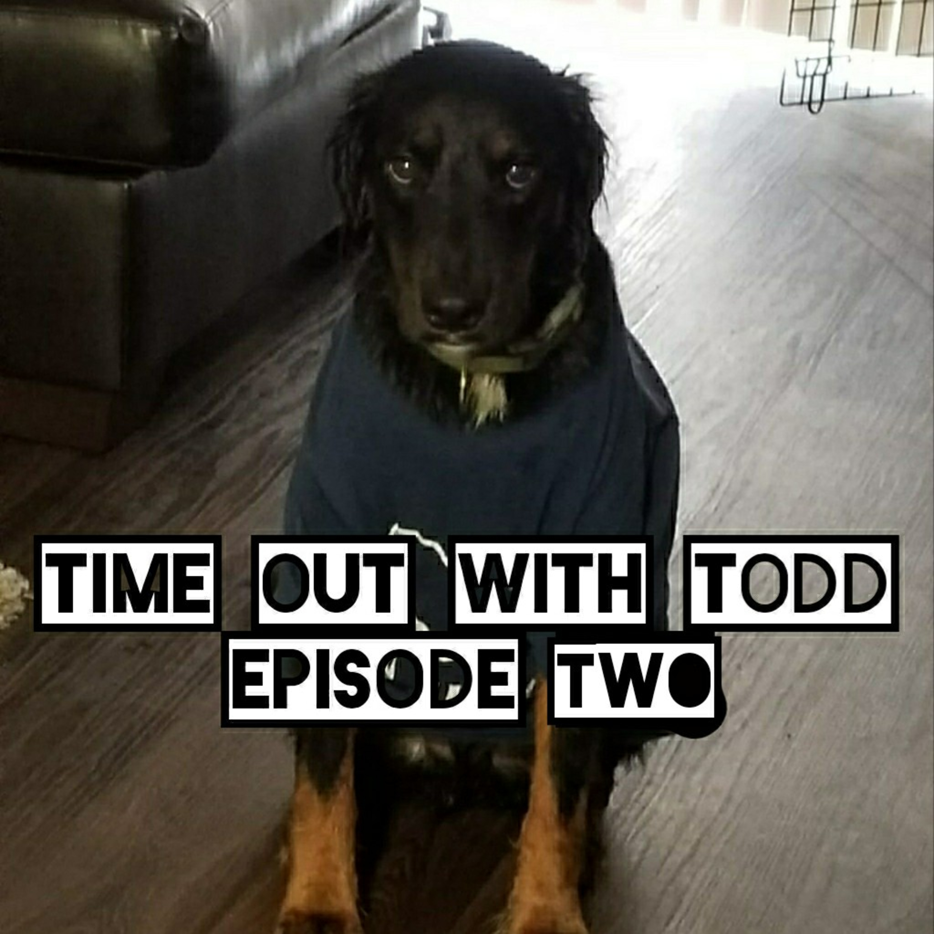 Time Out With Todd - Episode Two, Sad Miami