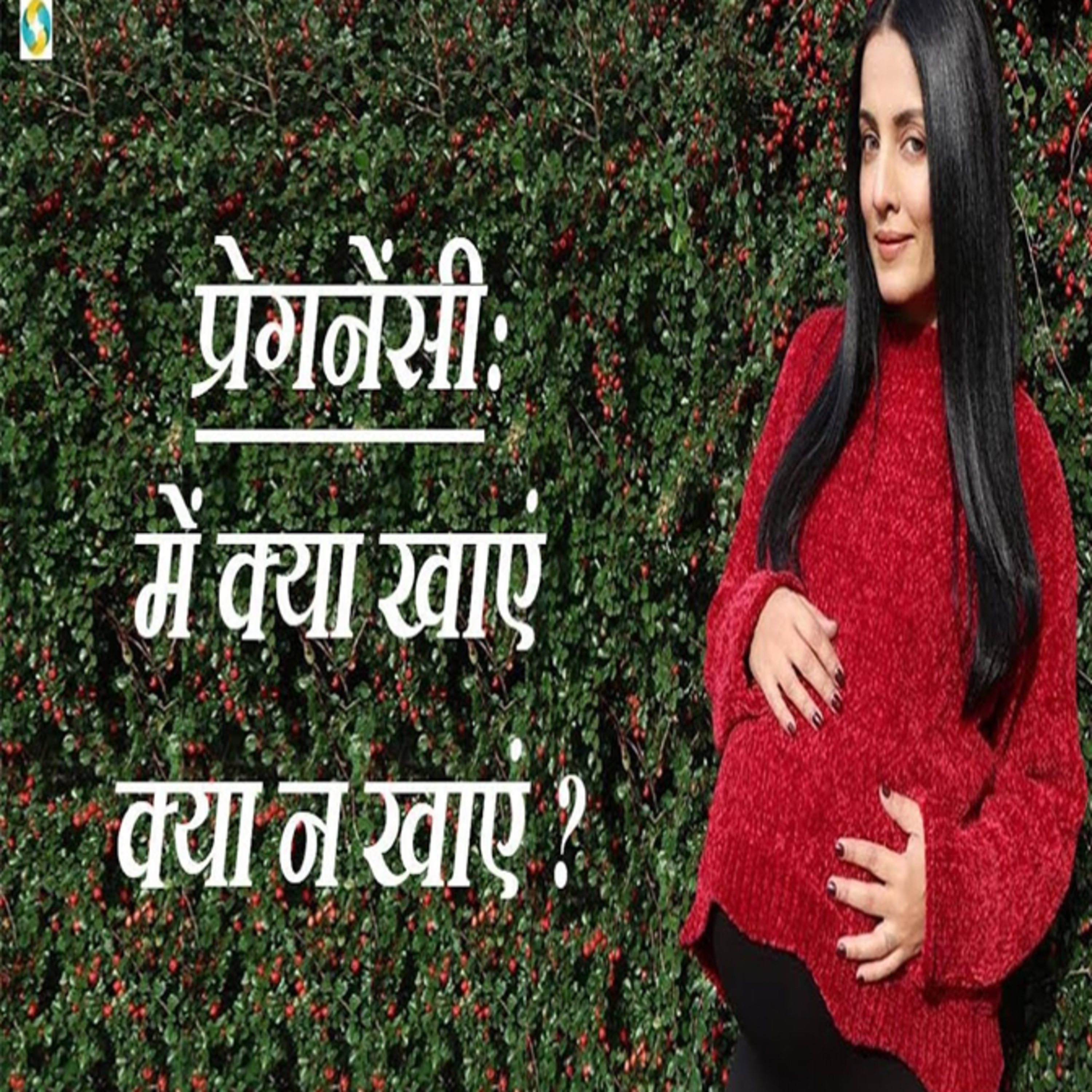 प्रेग्नेंसी में क्या खाना चाहिए क्या नहीं खाना चाहिए? || Pregnancy Food To Avoid & Eat In Hindi? episode artwork