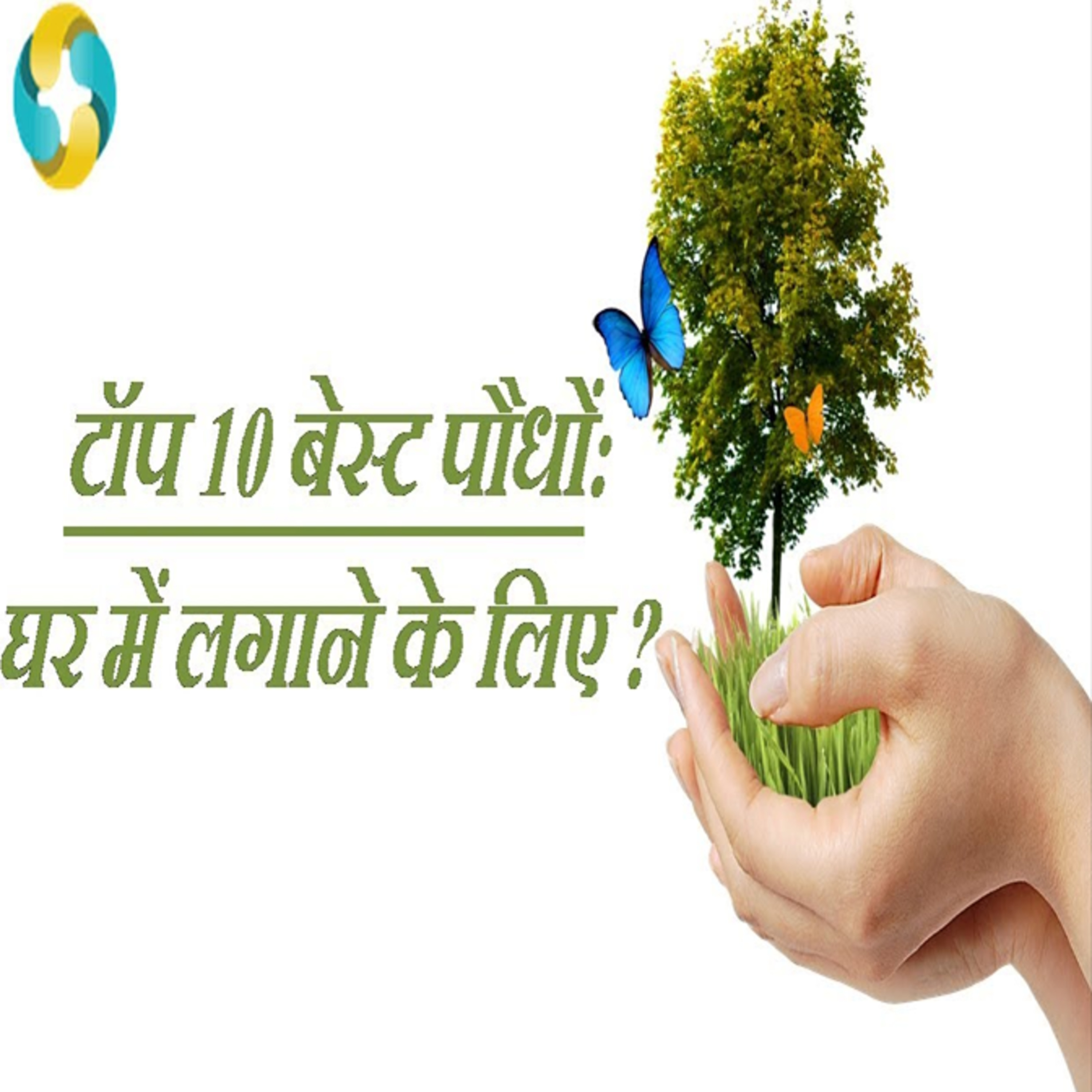 Top 10 Indoor Plants That Improve Air Quality || GHAR KI HAWA KO SAAF RKHNE WALE 10 PAUDHE episode artwork