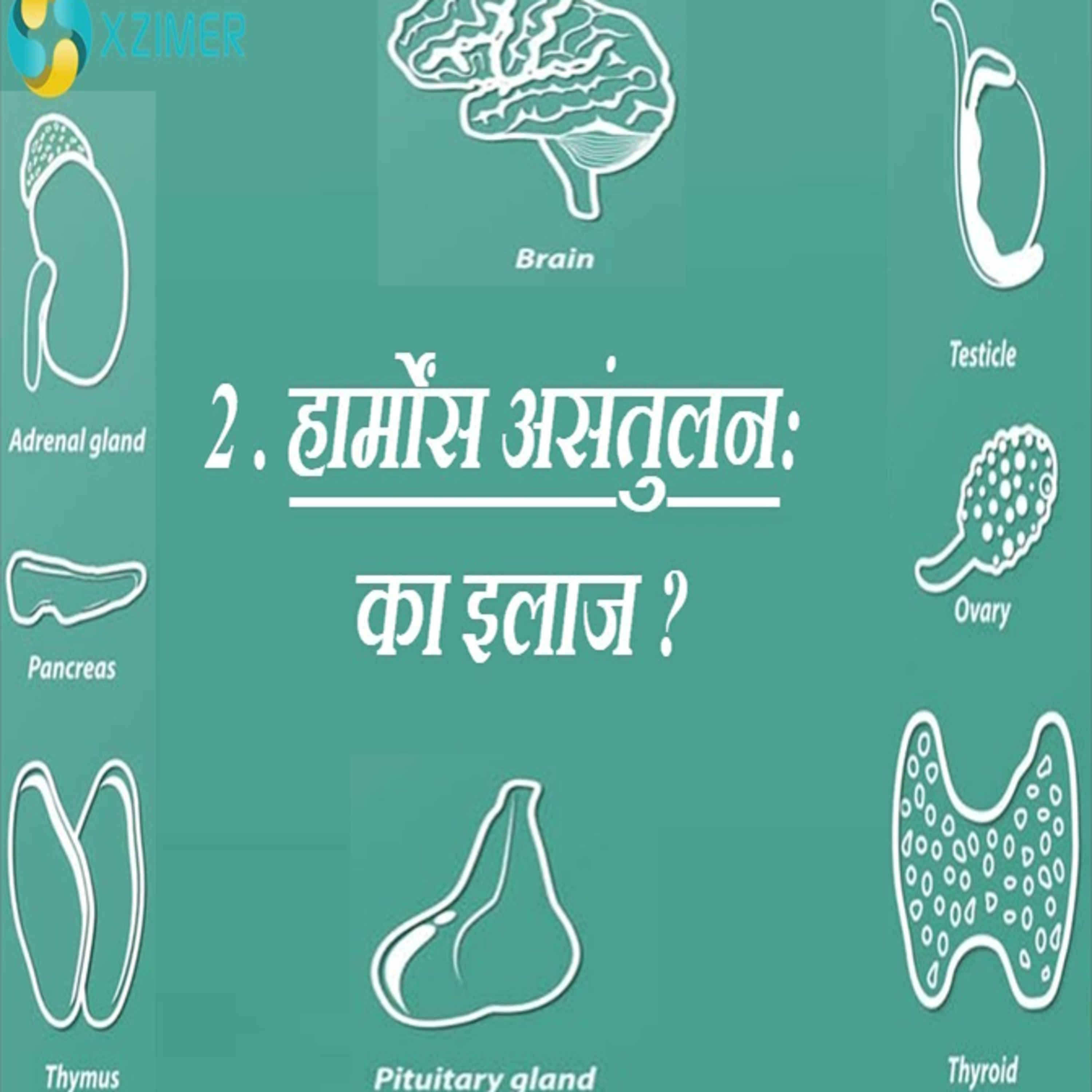 How To Balance Hormones In Hindi? || HORMONE BALANCE KARNE KE LIYE KARE? episode artwork