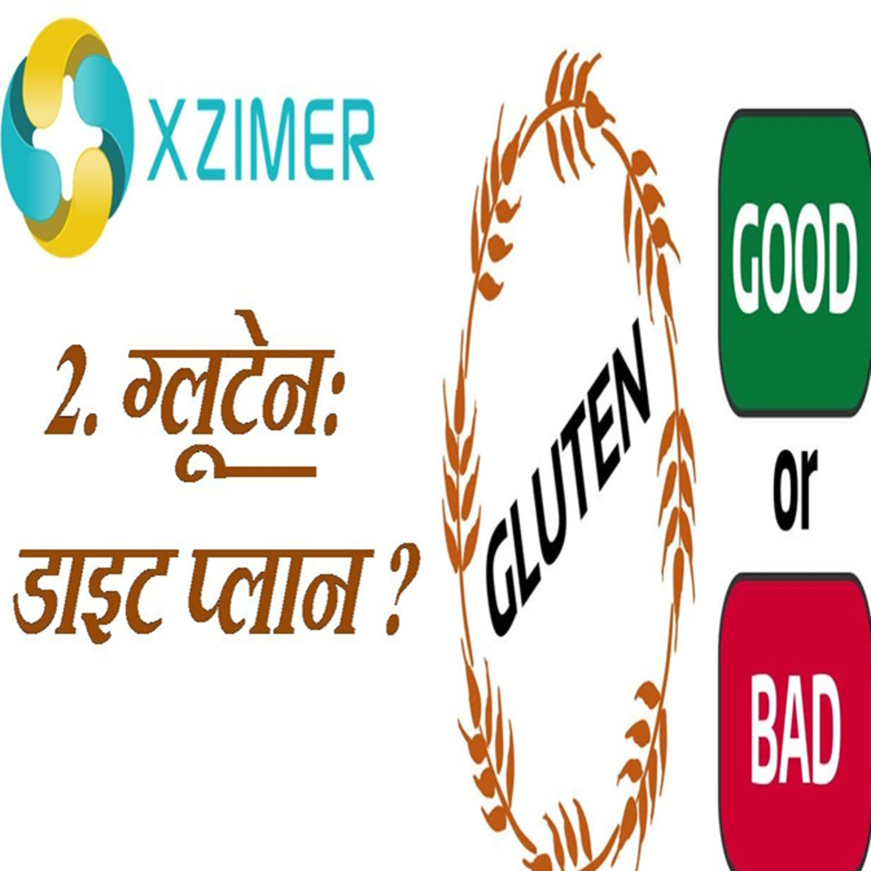What Foods Do You Avoid On A Gluten Free Diet? || KAUN SA GLUTEN FREE KHANA KHANA CHAHIYE? episode artwork