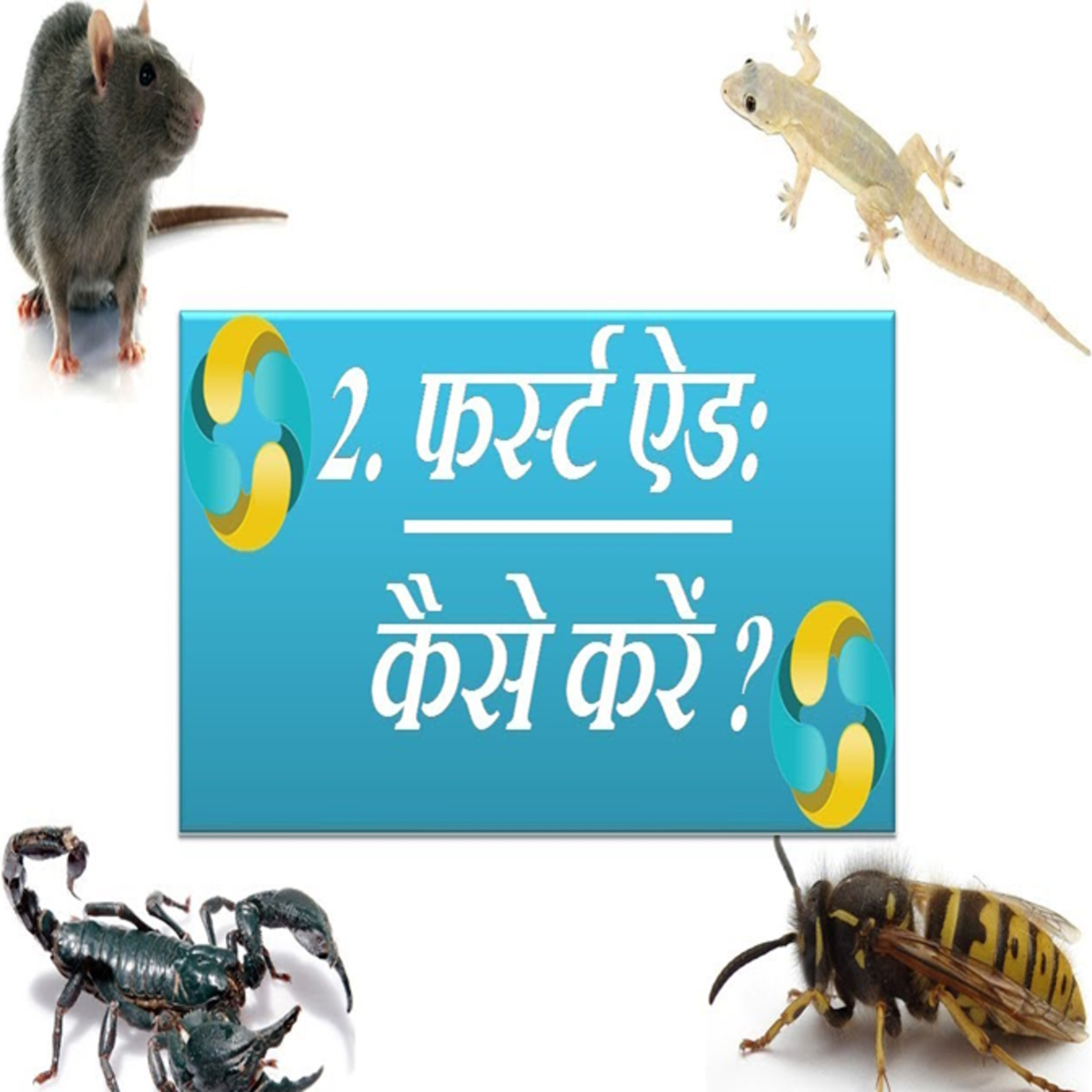 1-Wajan Ghatane Ka Sahi Tarika | Weight Loss Methods In Hindi | वेट लॉस करने के सही तरीके