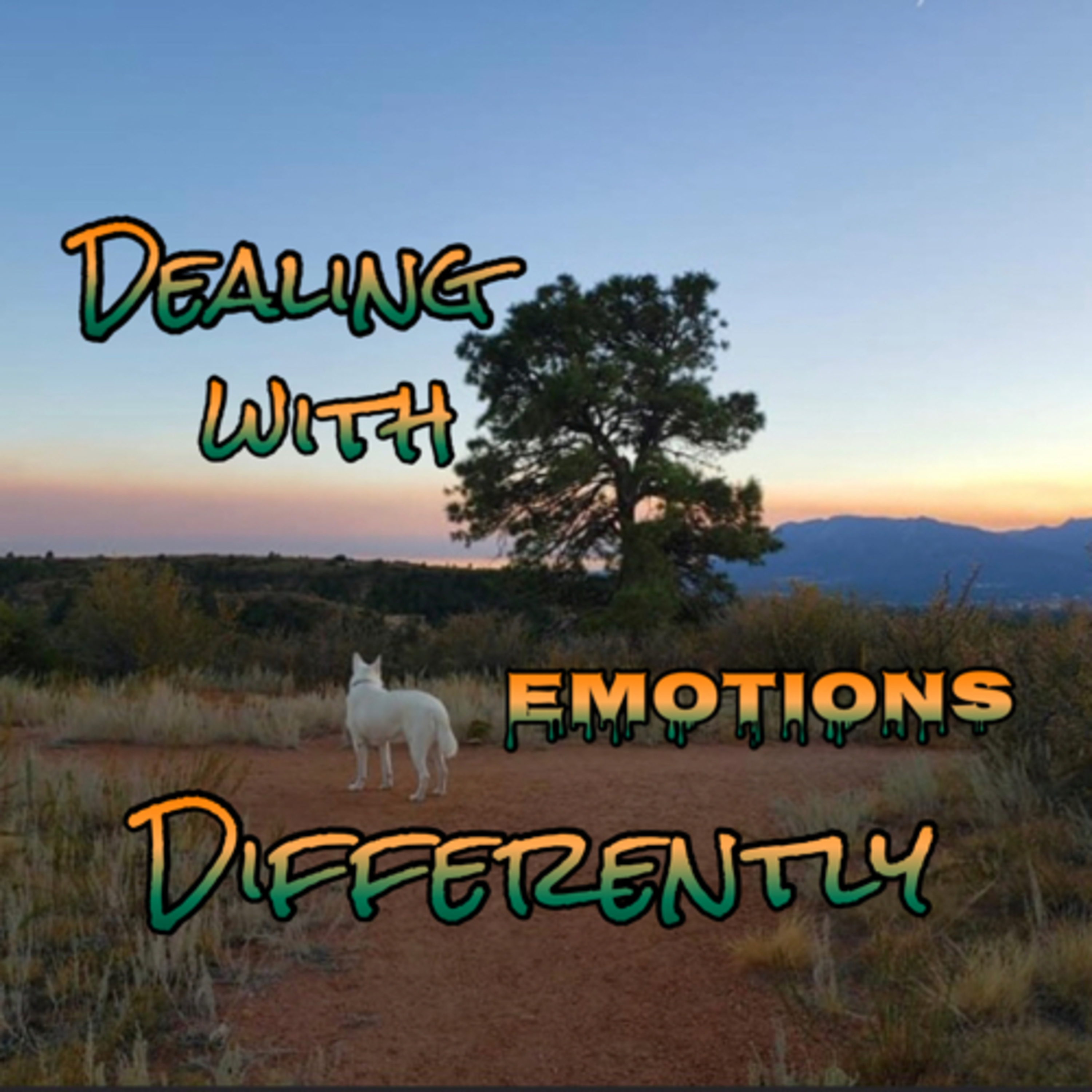 Dealing with Emotions Differently episode artwork