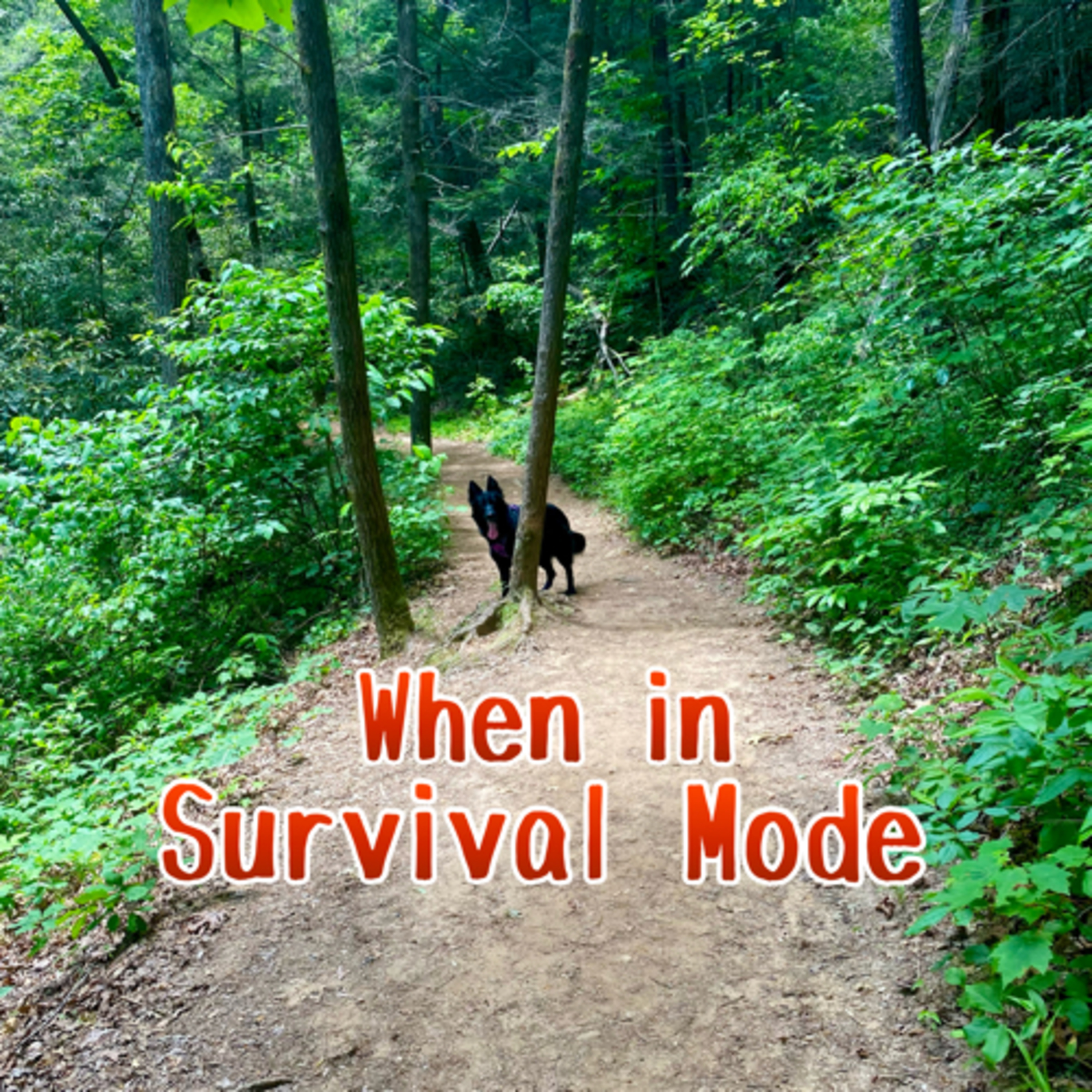 When in survival mode episode artwork