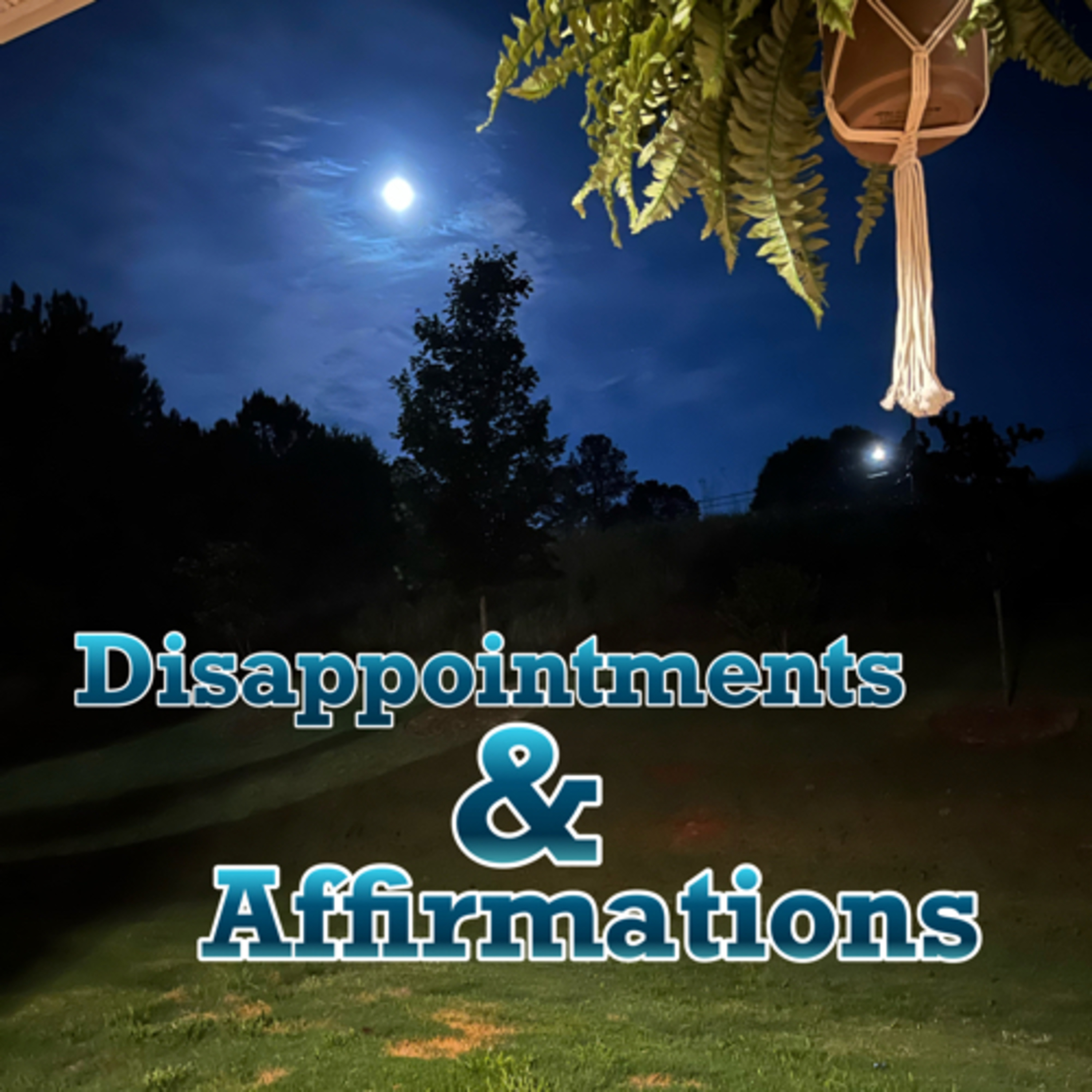 Disappointments and Affirmations episode artwork