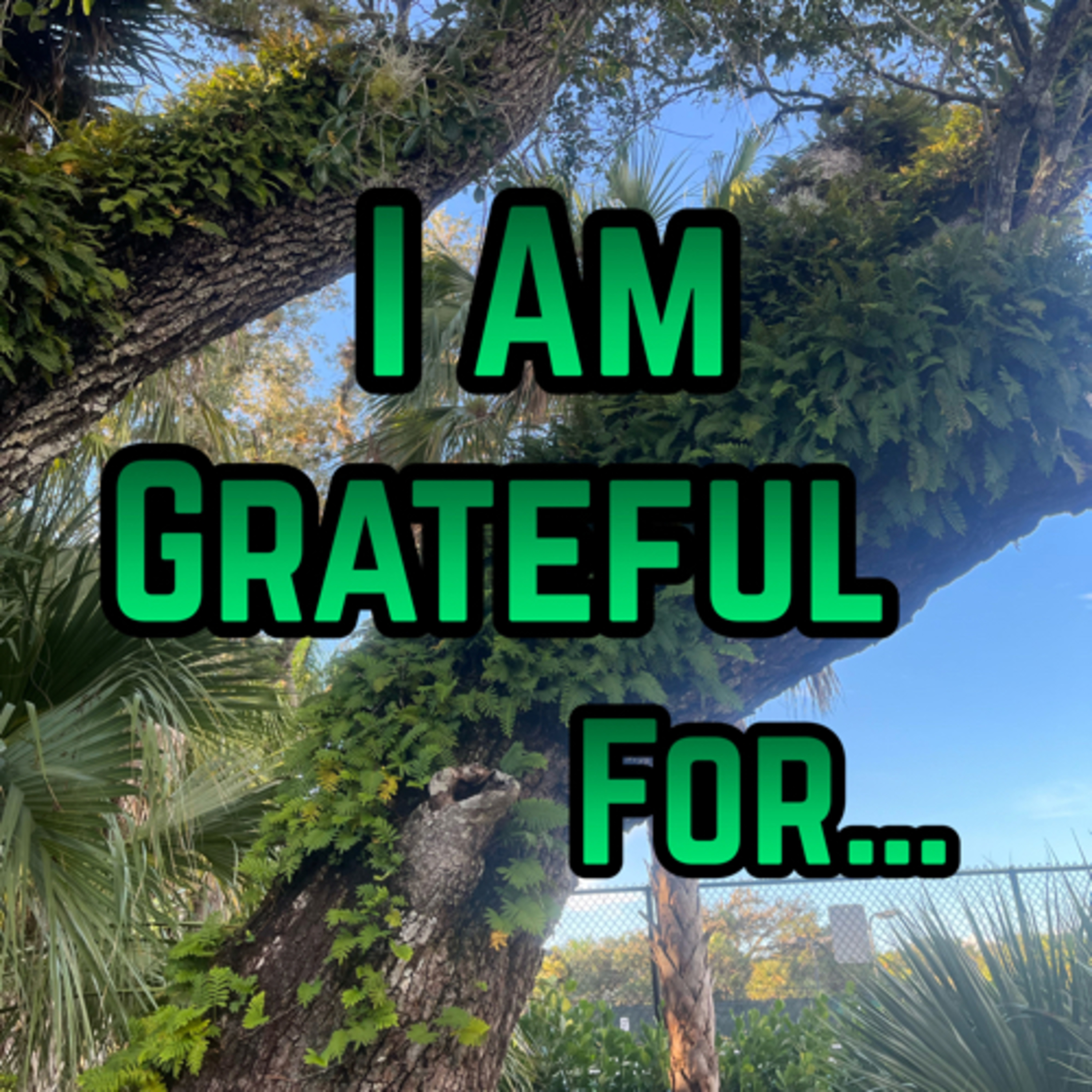 Things to be grateful for.. episode artwork