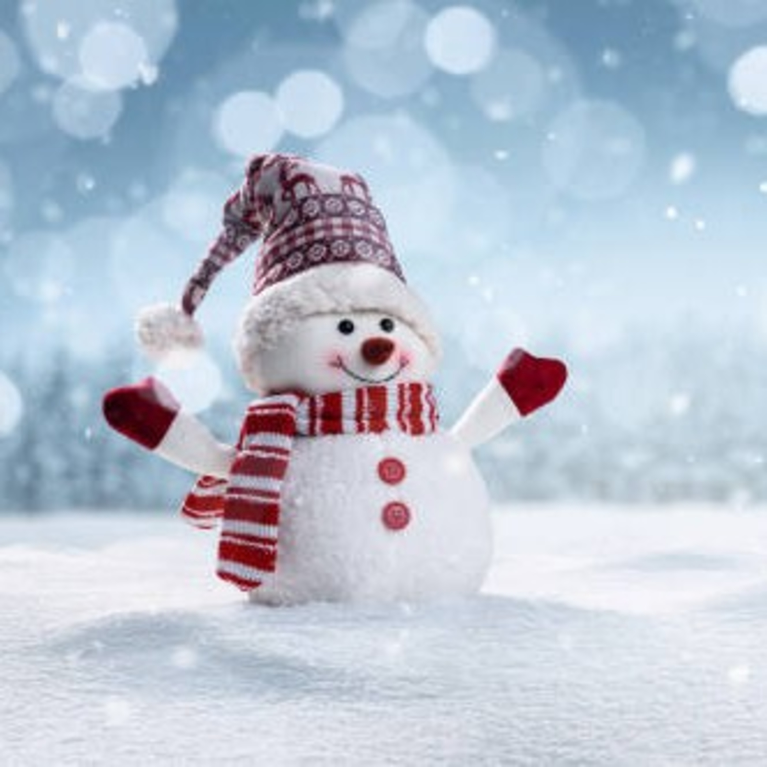 ⛄ Povestea Omului de zăpadă ☃️, sursă: anidescoala.ro episode artwork