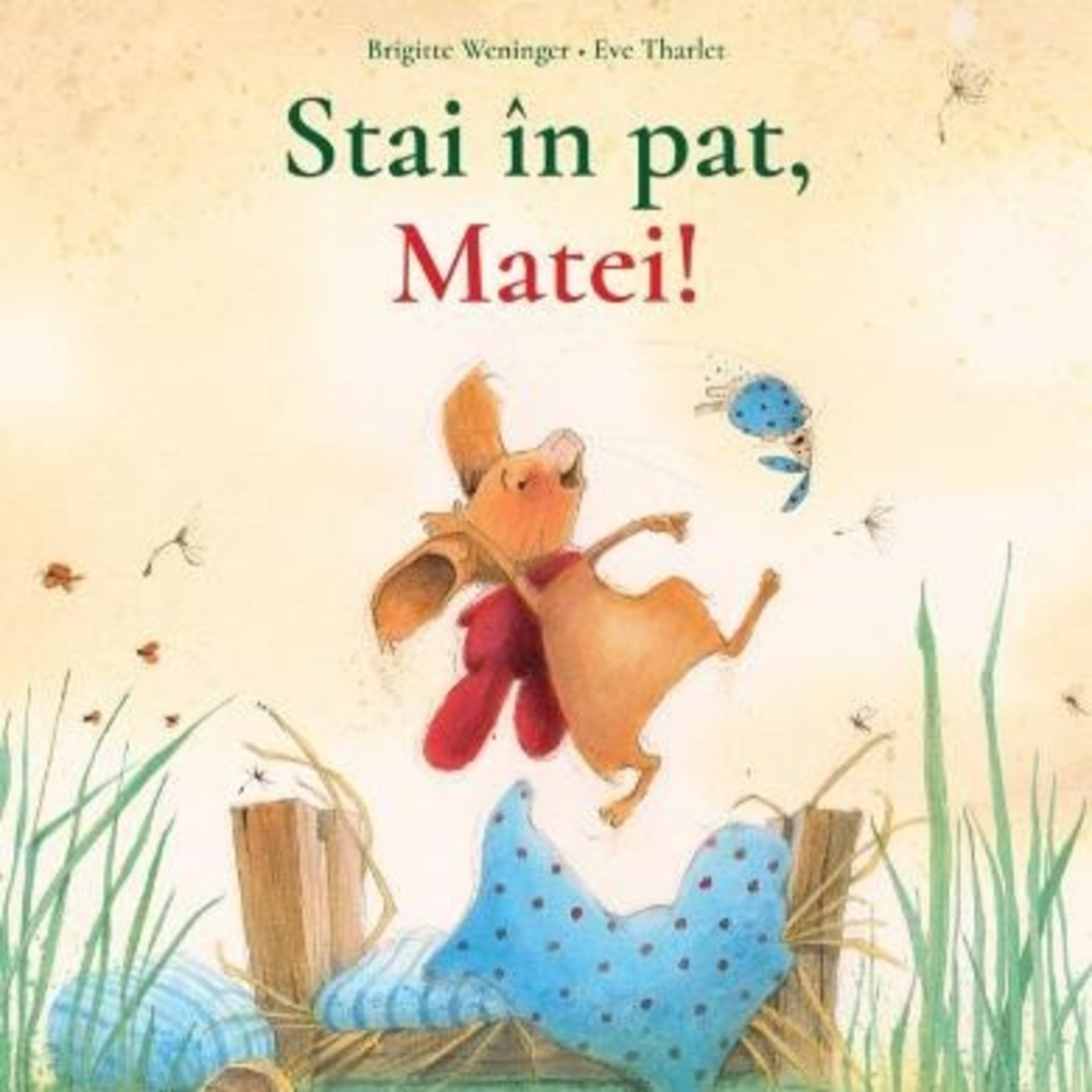 Stai in pat, Matei!, de Brigitte Weninger, ilustrată de Eve Tharlet. episode artwork