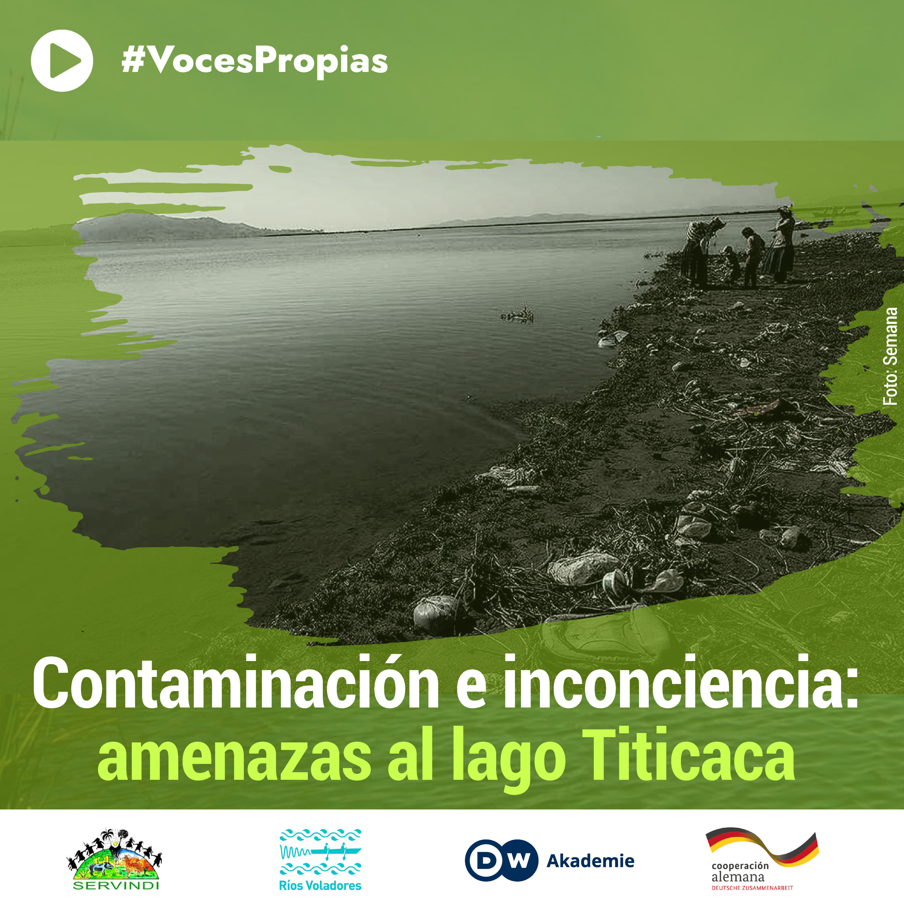 Voces propias