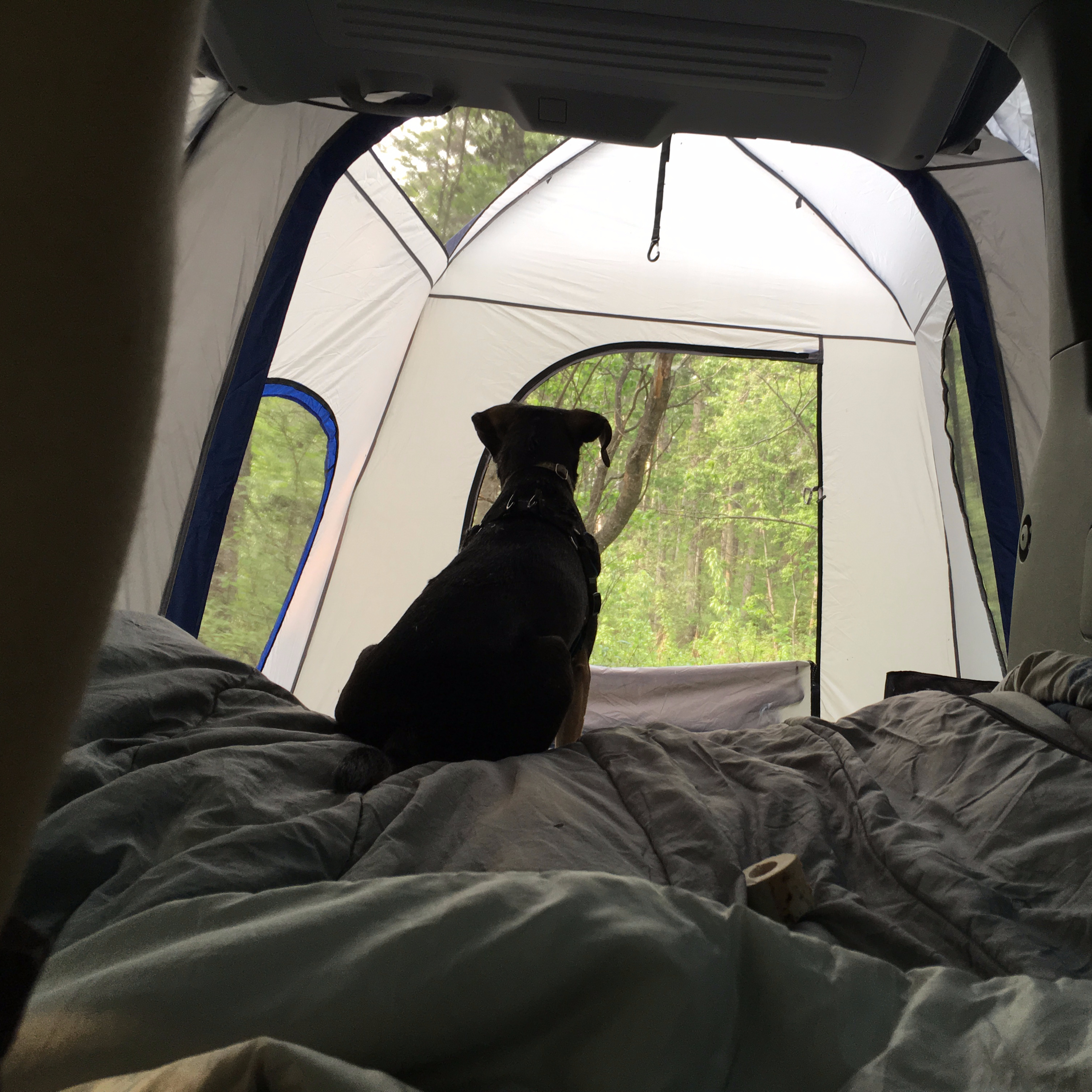 The Great Outdoorz