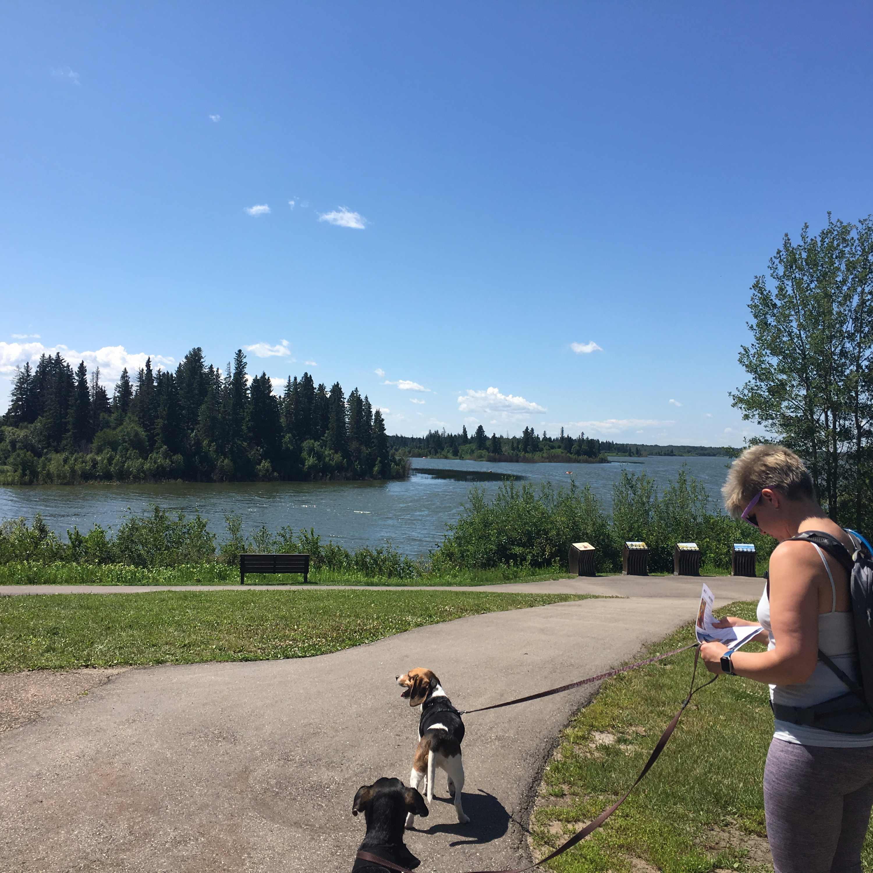 The Great Outdoorz