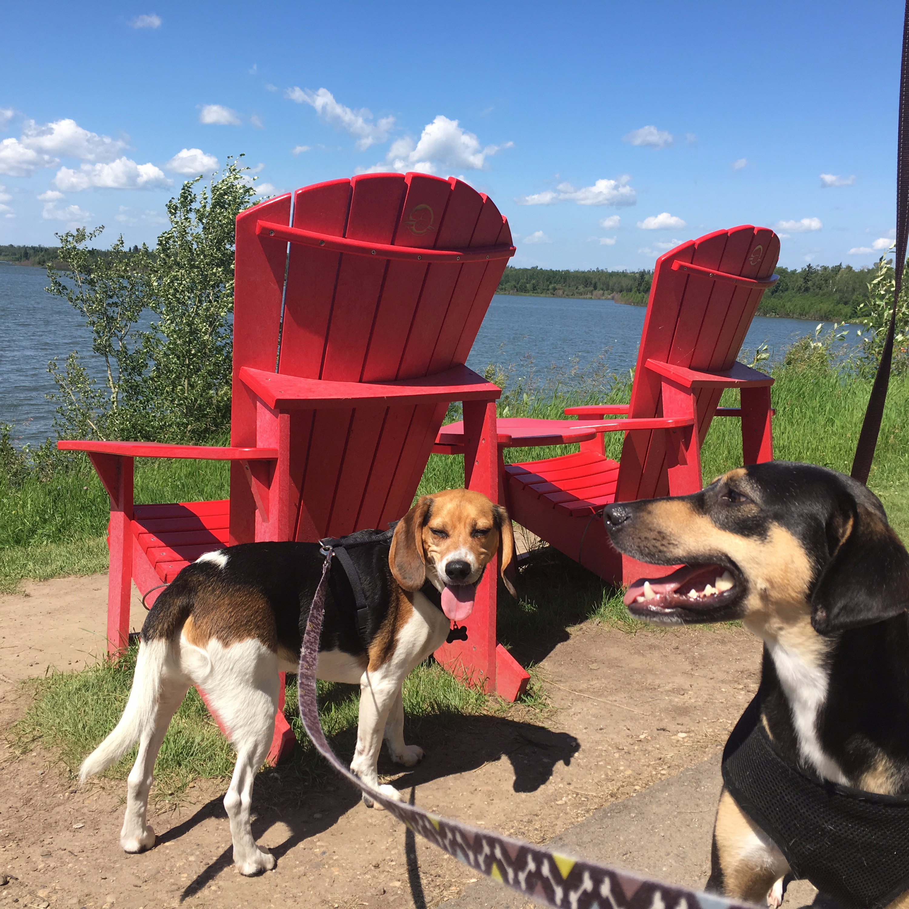 The Great Outdoorz