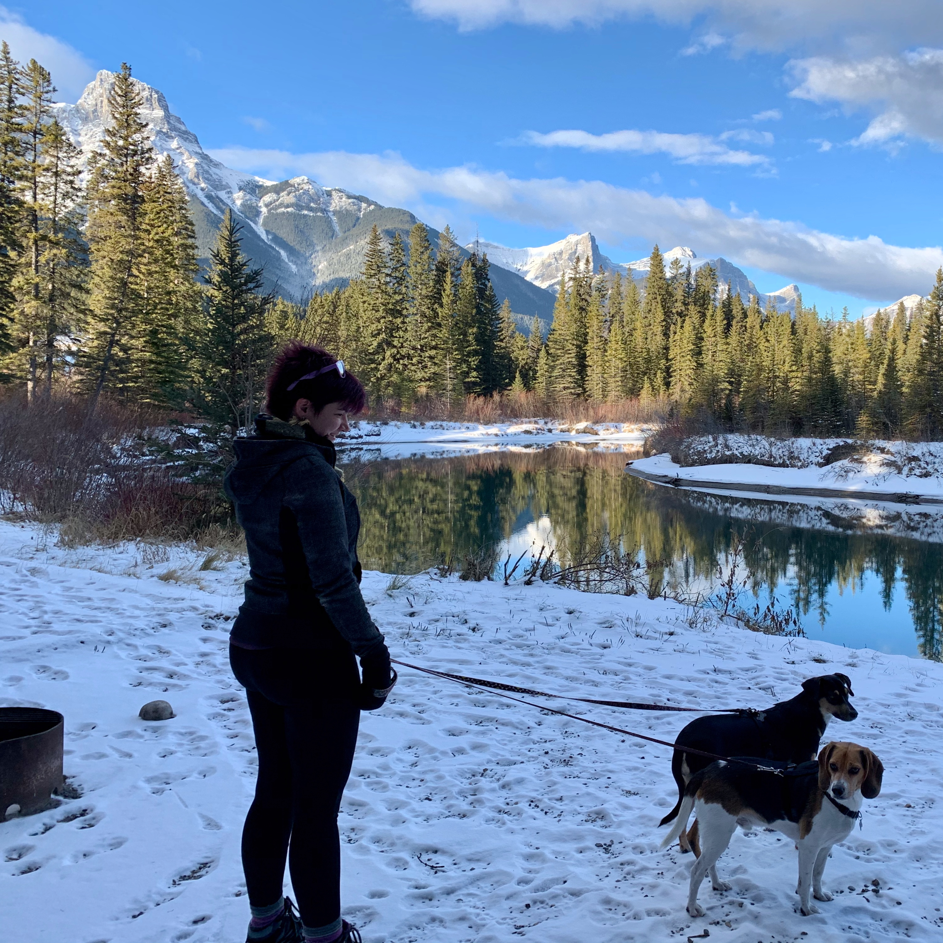 The Great Outdoorz