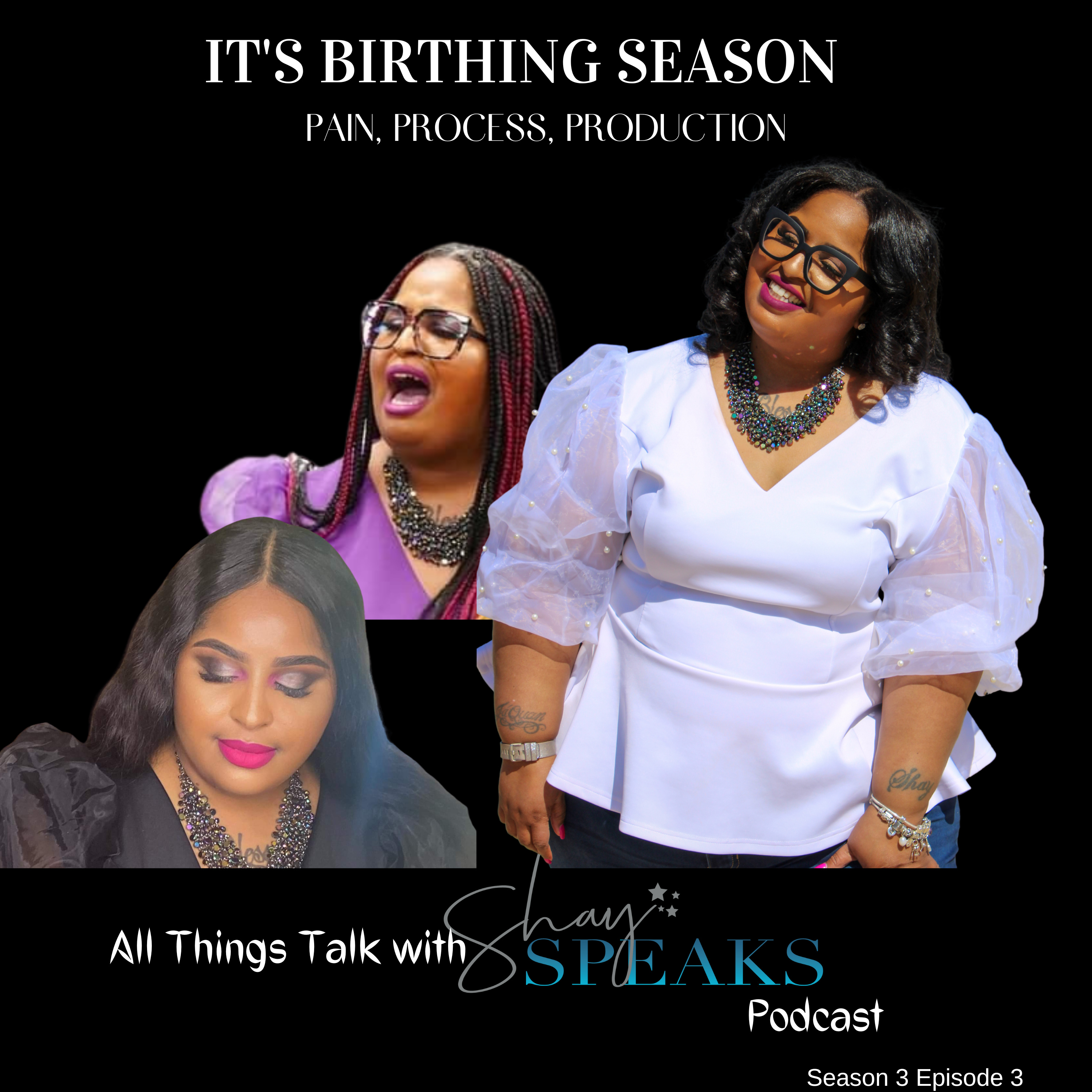 It's Birthing Season episode artwork