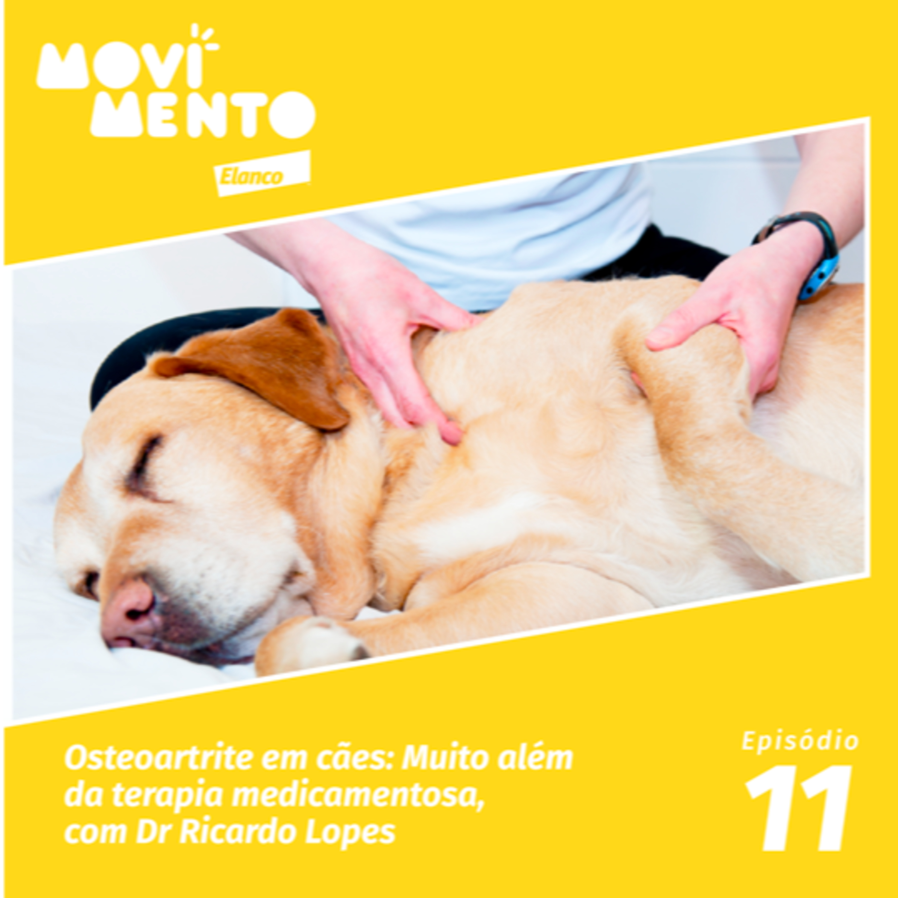 Movimento Elanco