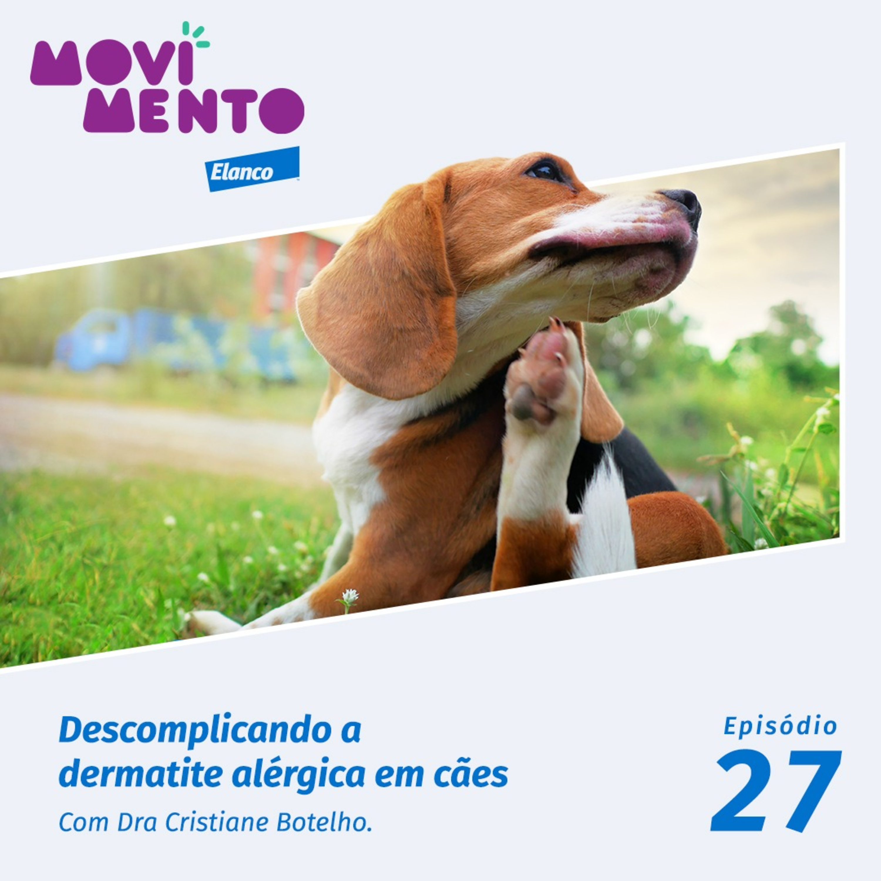 Movimento Elanco