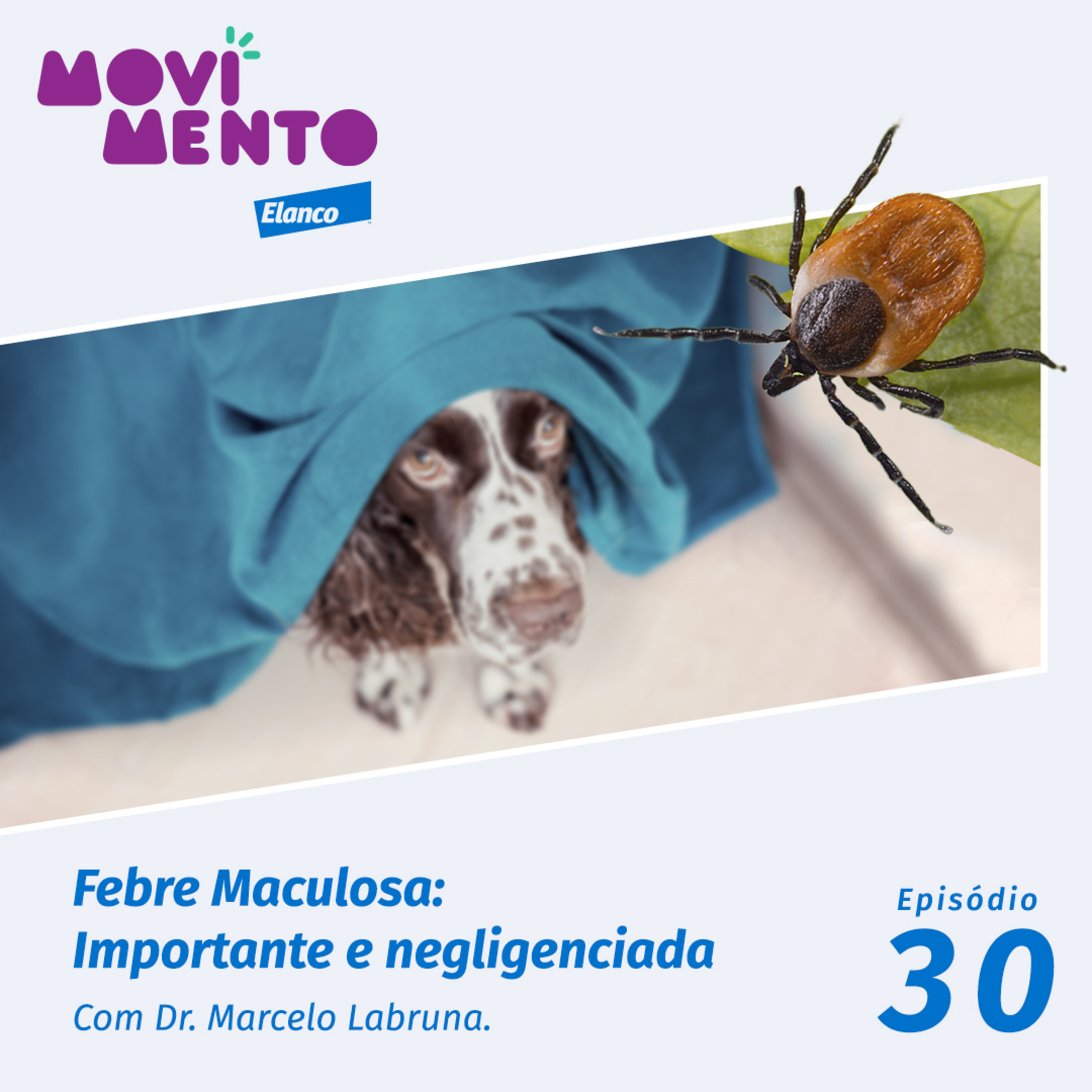 Movimento Elanco