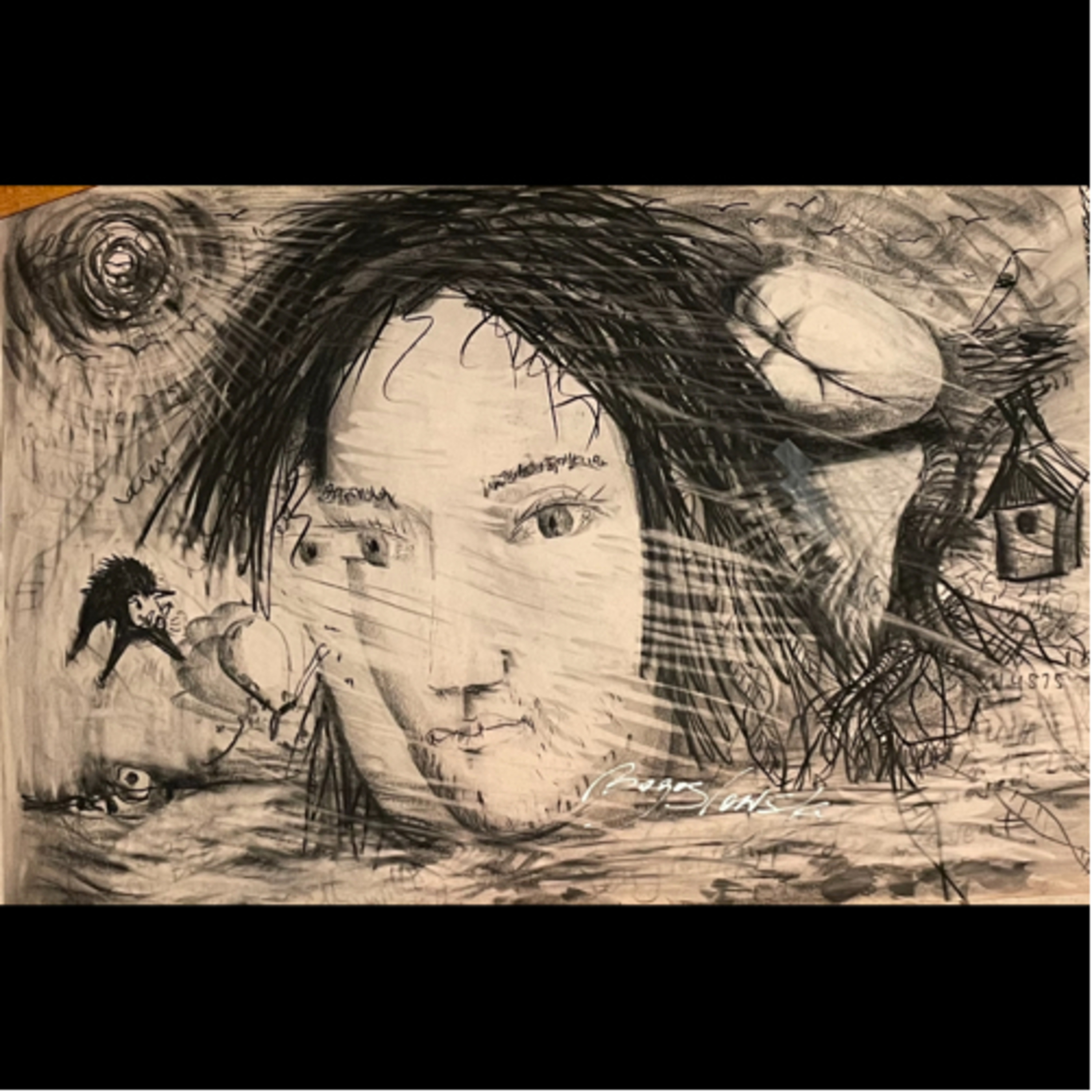 Artist imagination and reality🧐 episode artwork