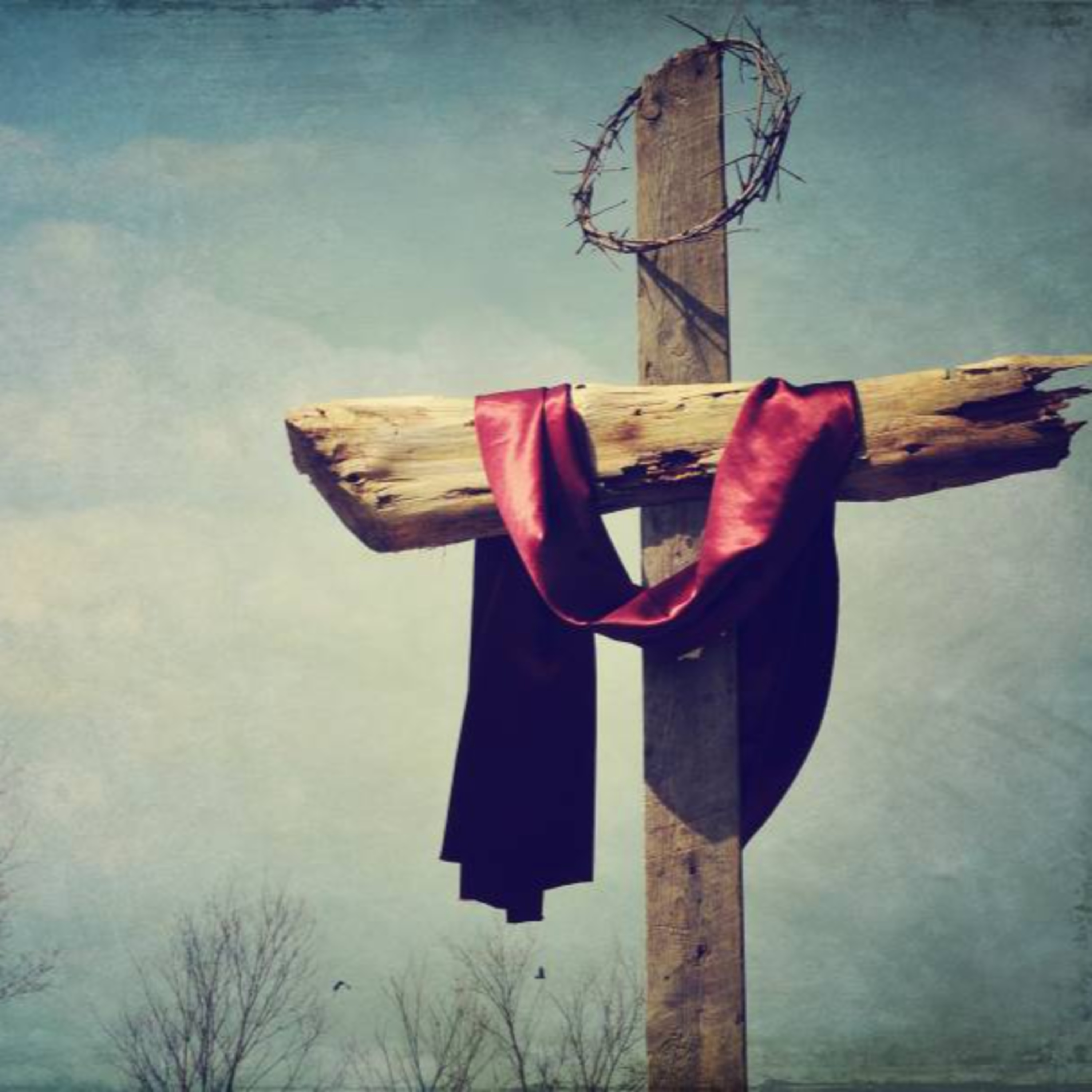 But For Grace, There Go I episode artwork
