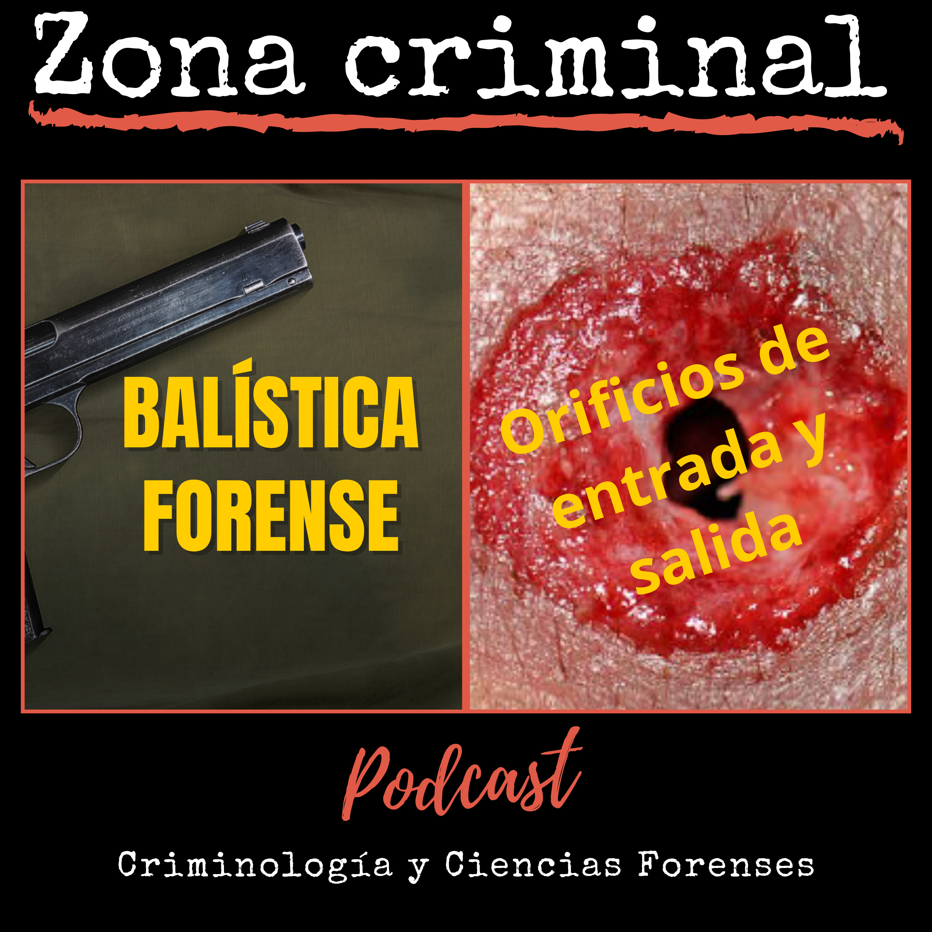 Portada de Zona Criminal