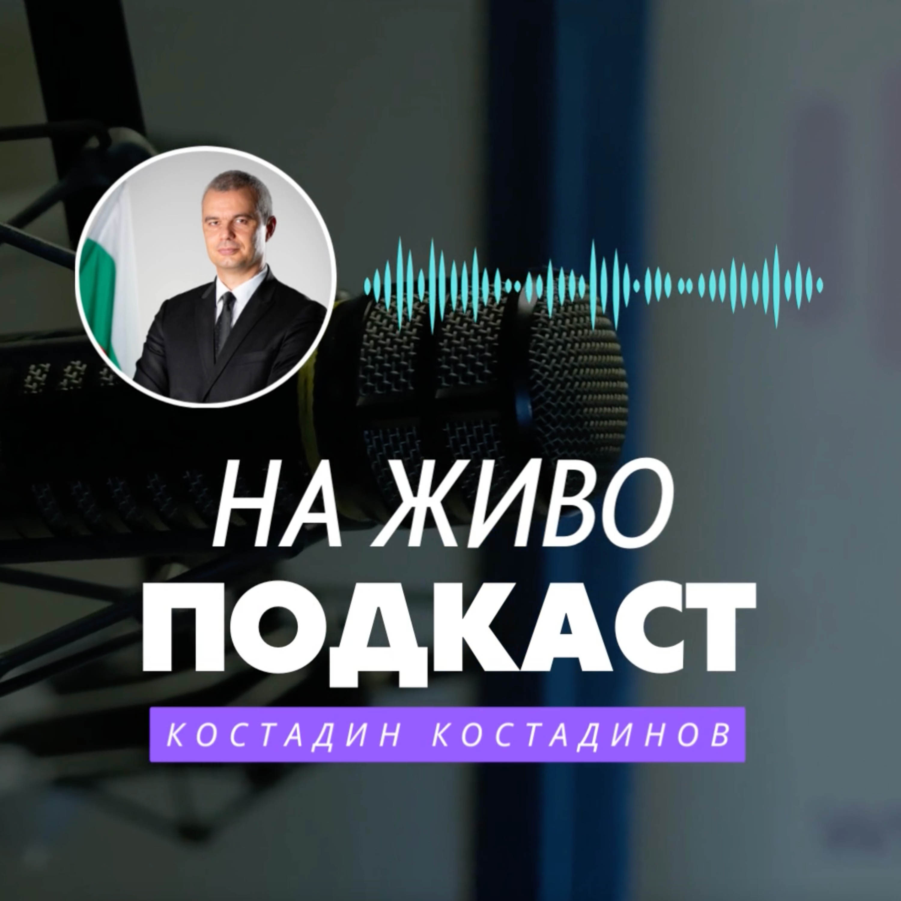 Костадинов: Изборите са най-доброто лекарство за всякакви видове политически кризи episode artwork