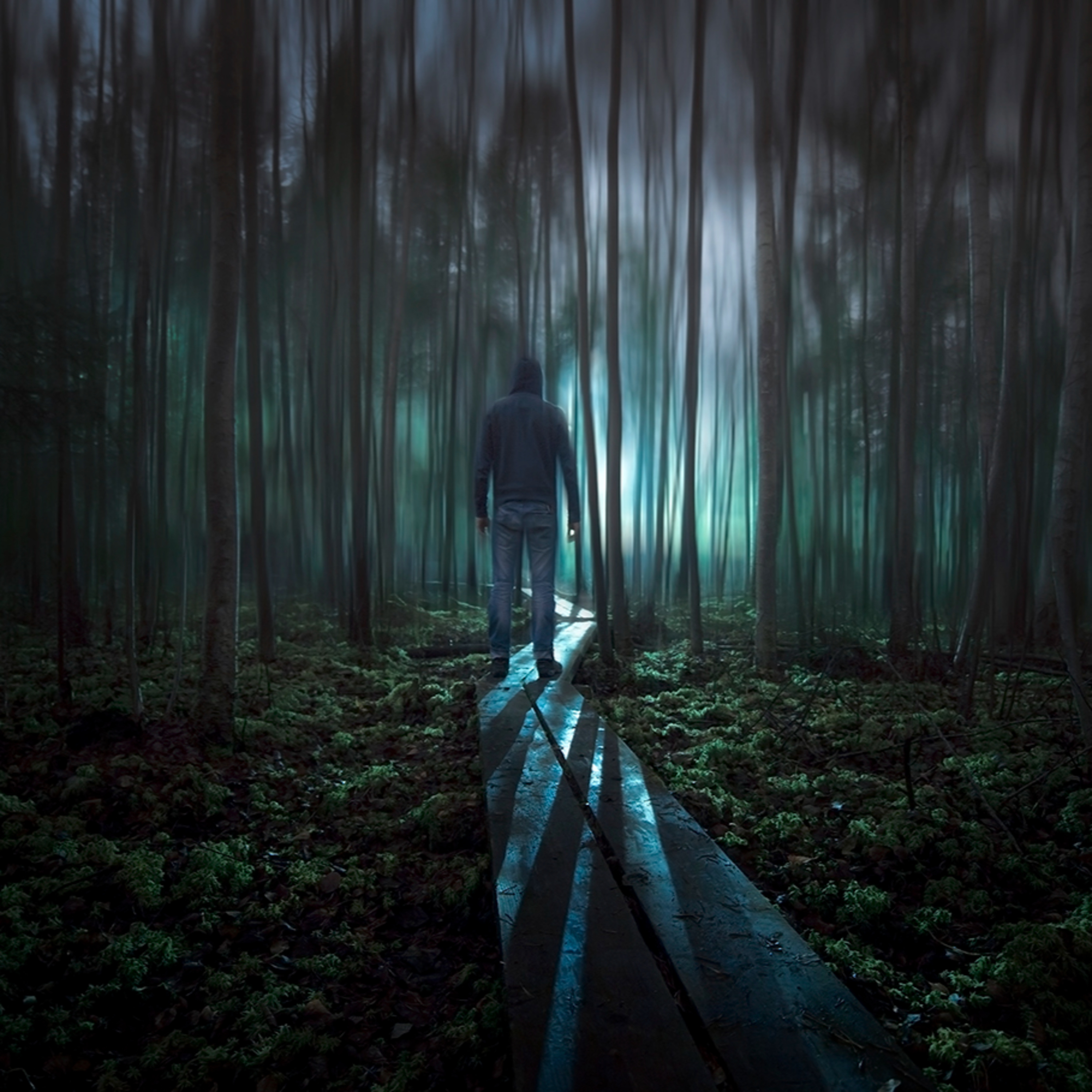 Horror From The Deep Woods [Volume #1] episode artwork