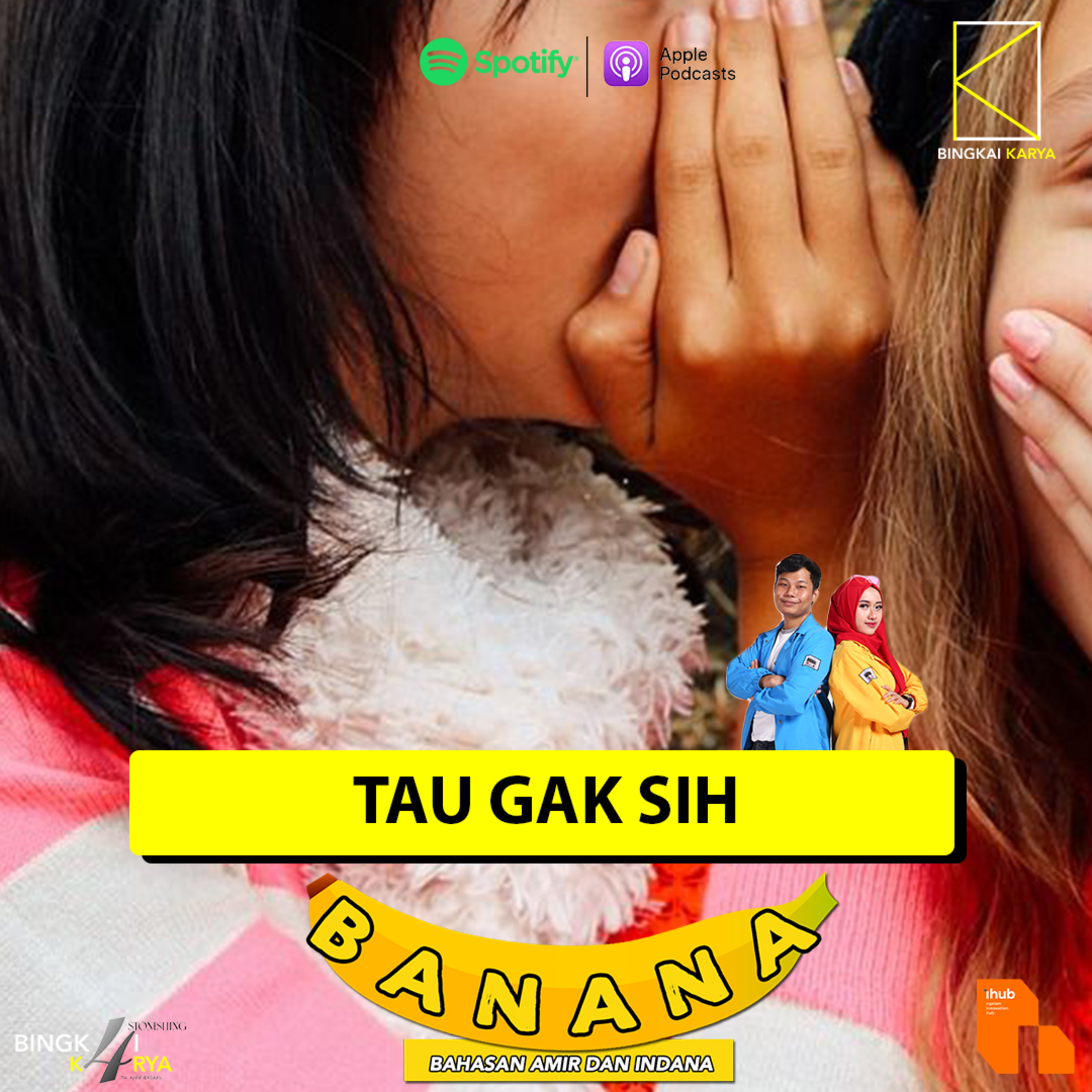 Bingkai Suara