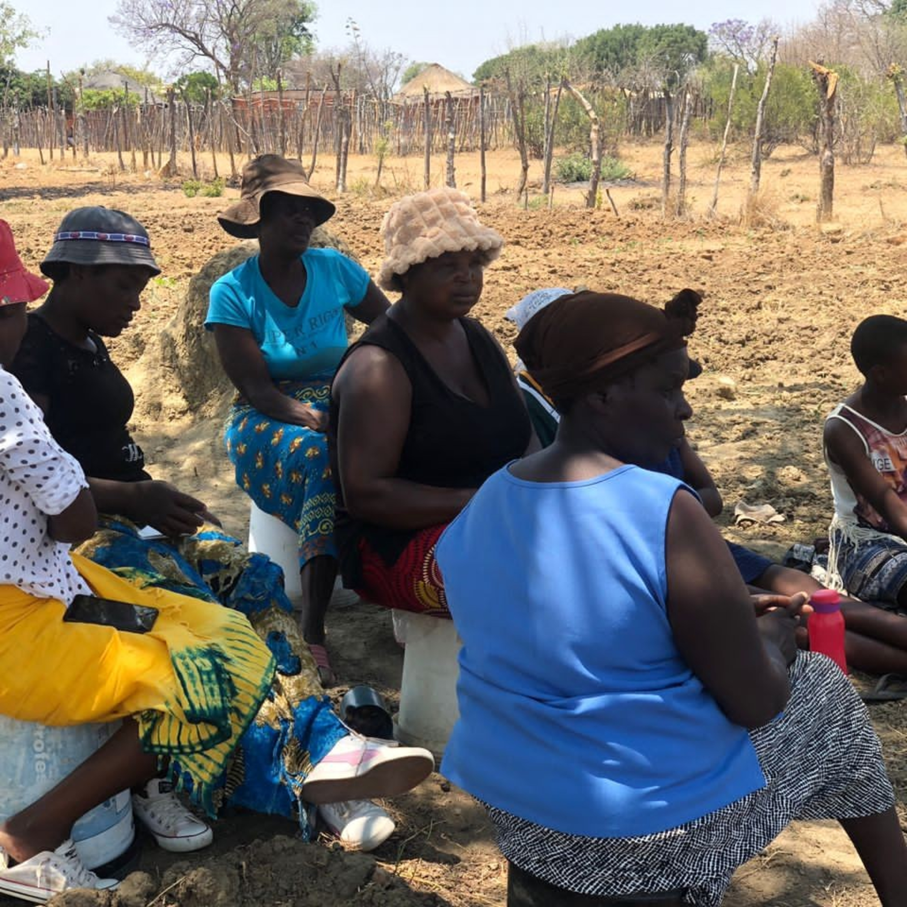 Amakhosikazi Audio News