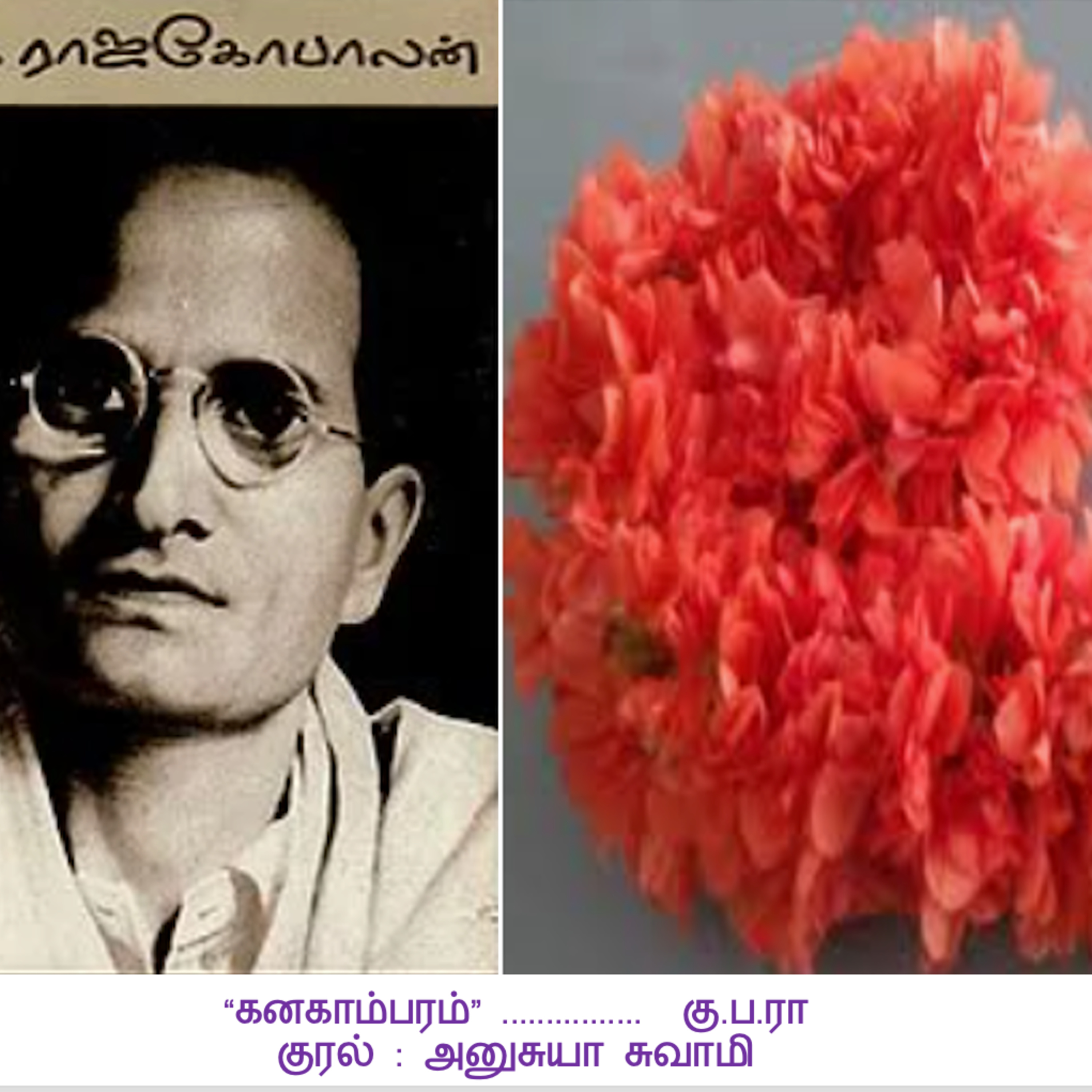 அனுவின் கதை உலகம்