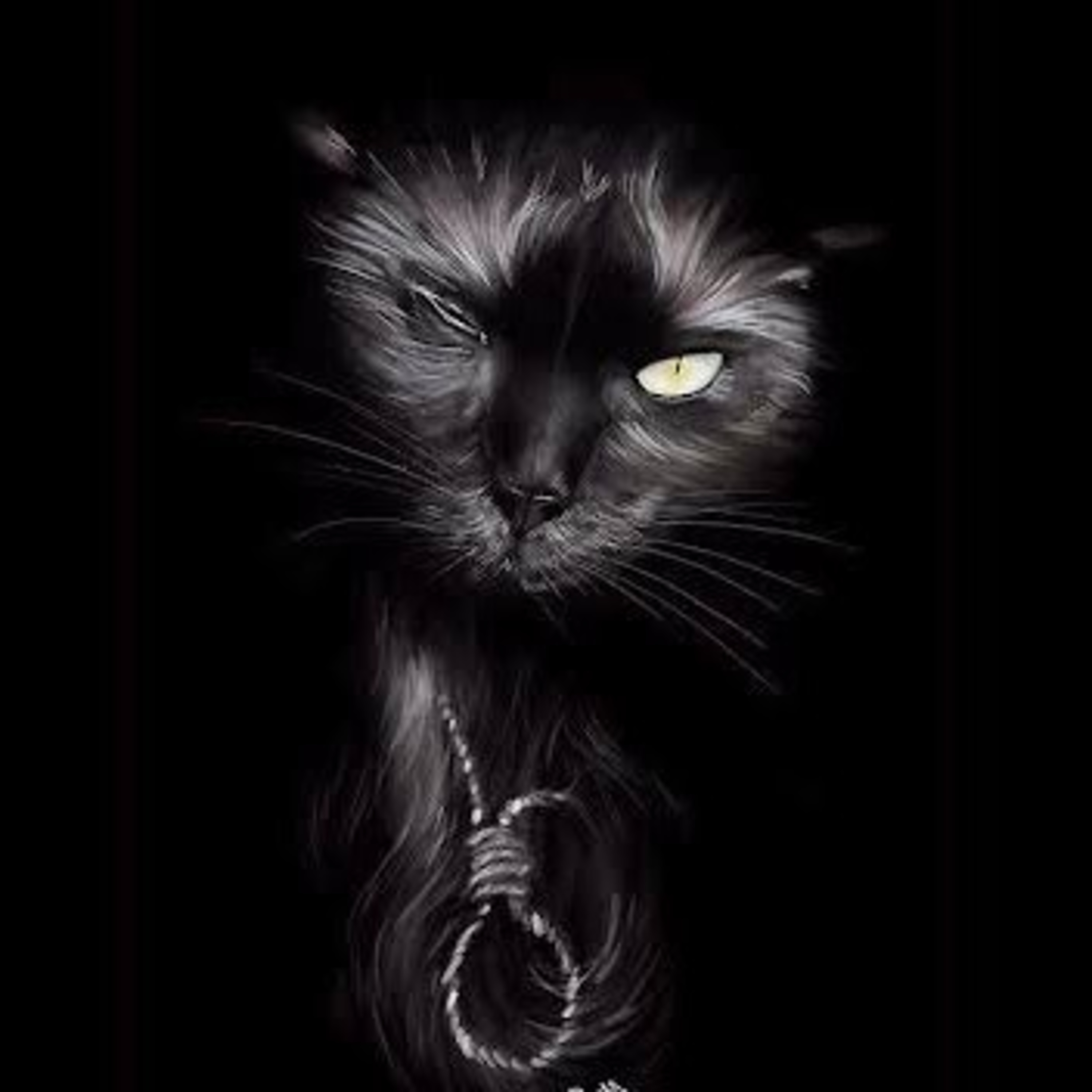Leitura do conto O gato preto, de Edgar Allan Poe, escritor estadunidense, do romantismo. episode artwork