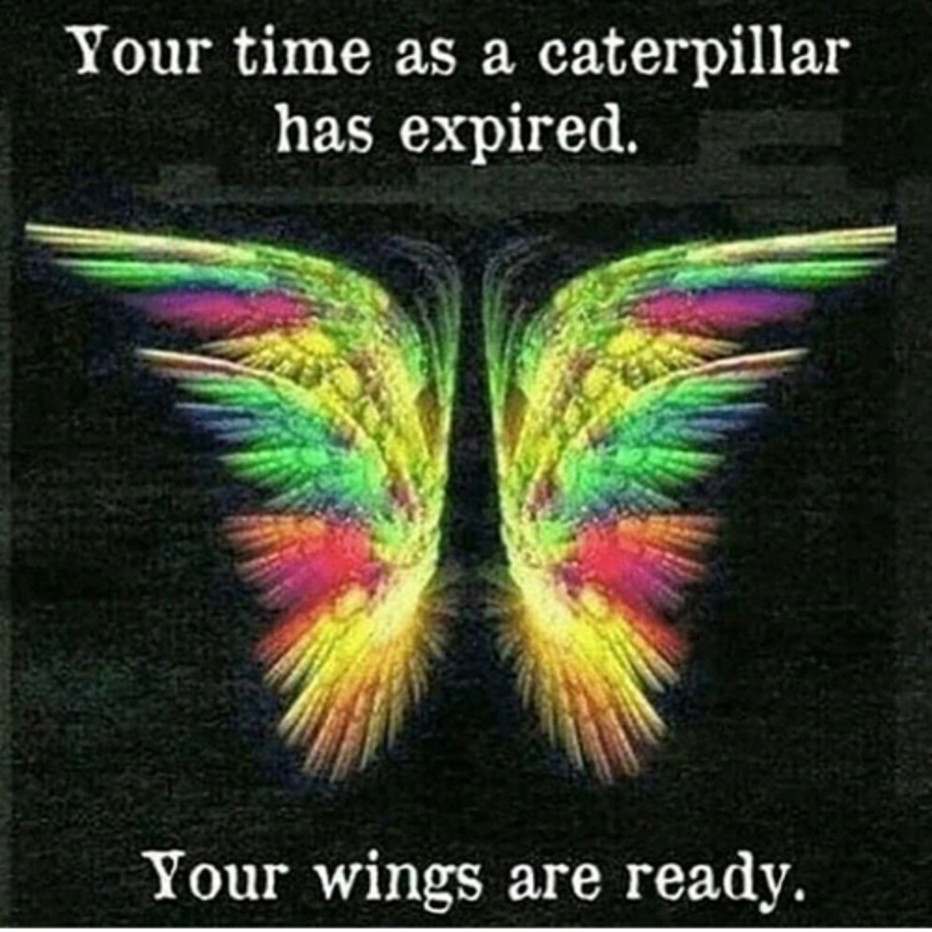 400 Trillion to 1. These are the odds YOU beat to be born a human. You were born a champion.