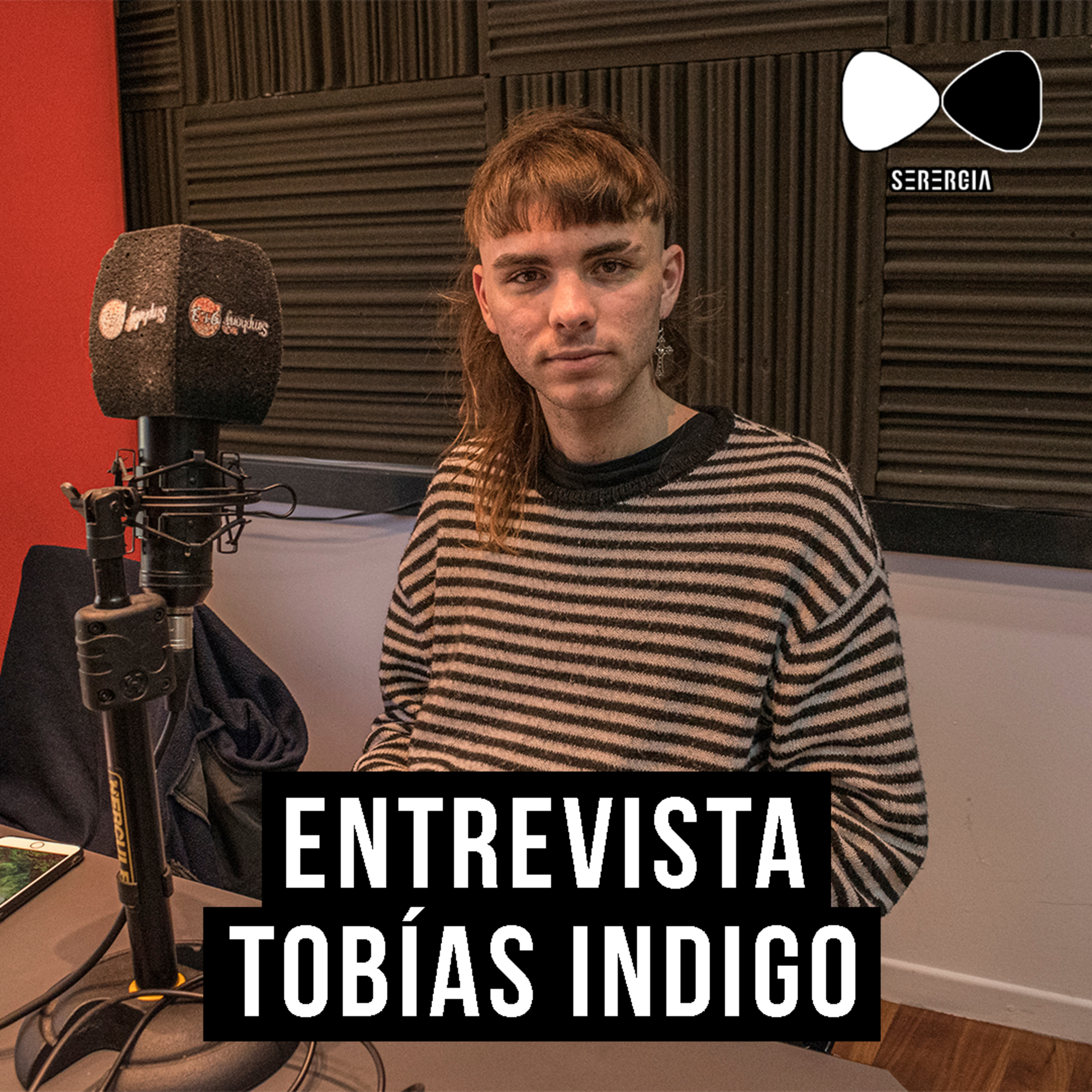 Serergia Radio