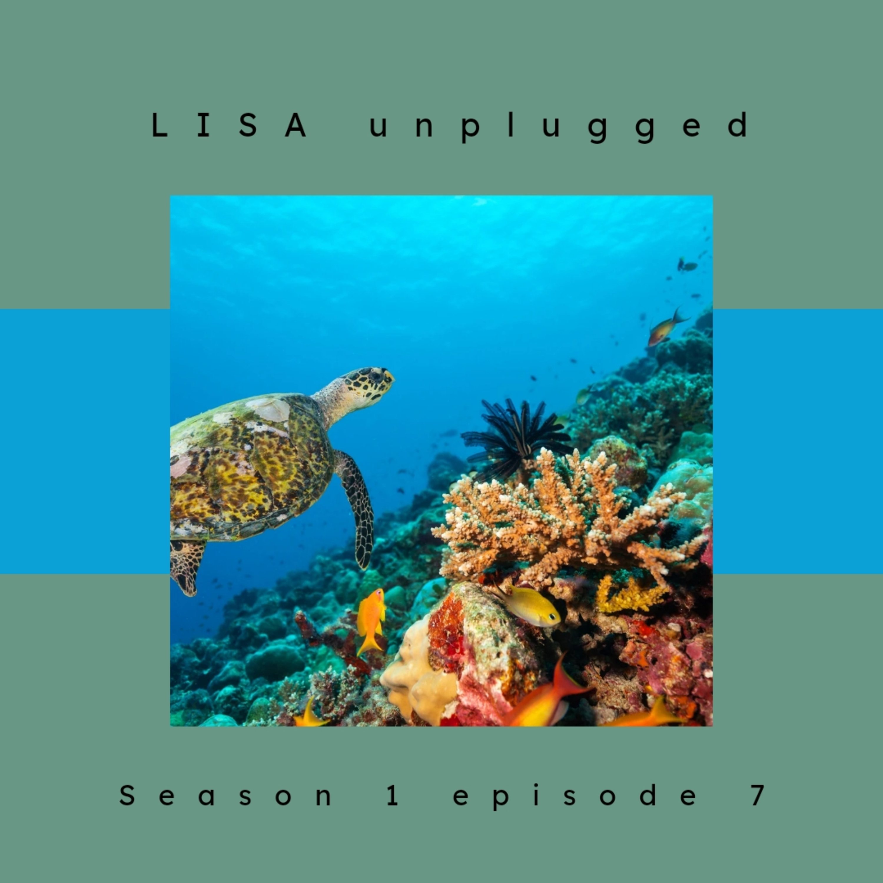 Artificial Coral Reef  episode artwork