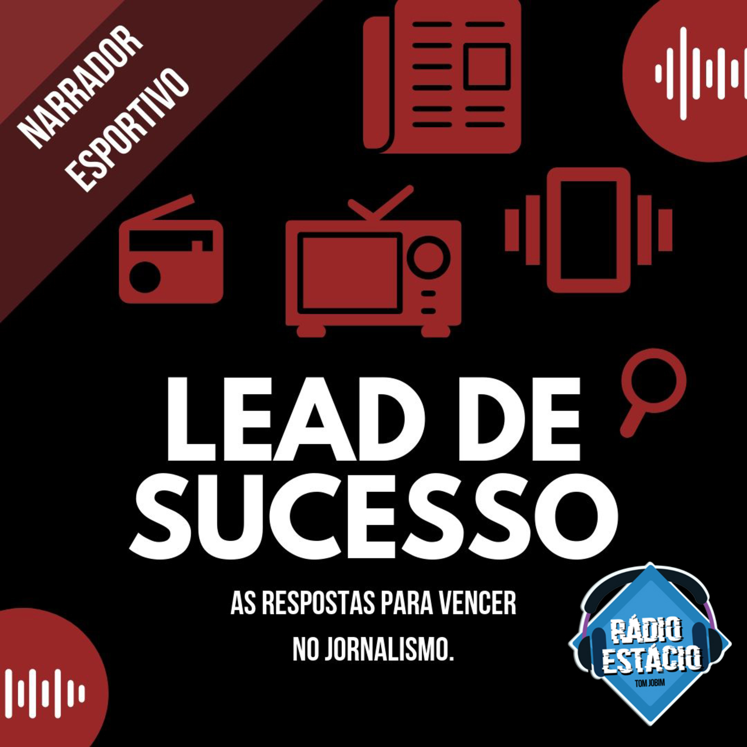 Lead de Sucesso