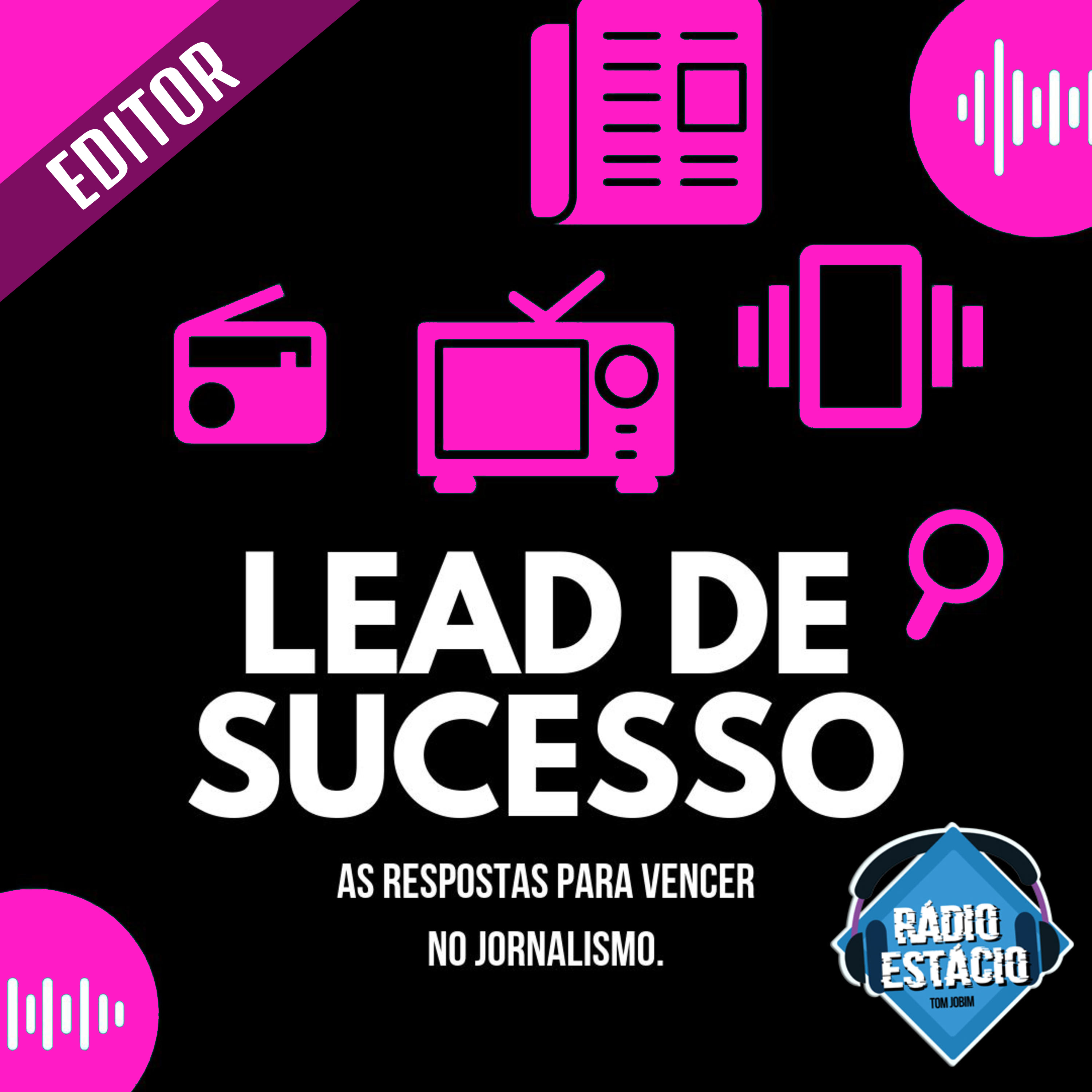 Lead de Sucesso