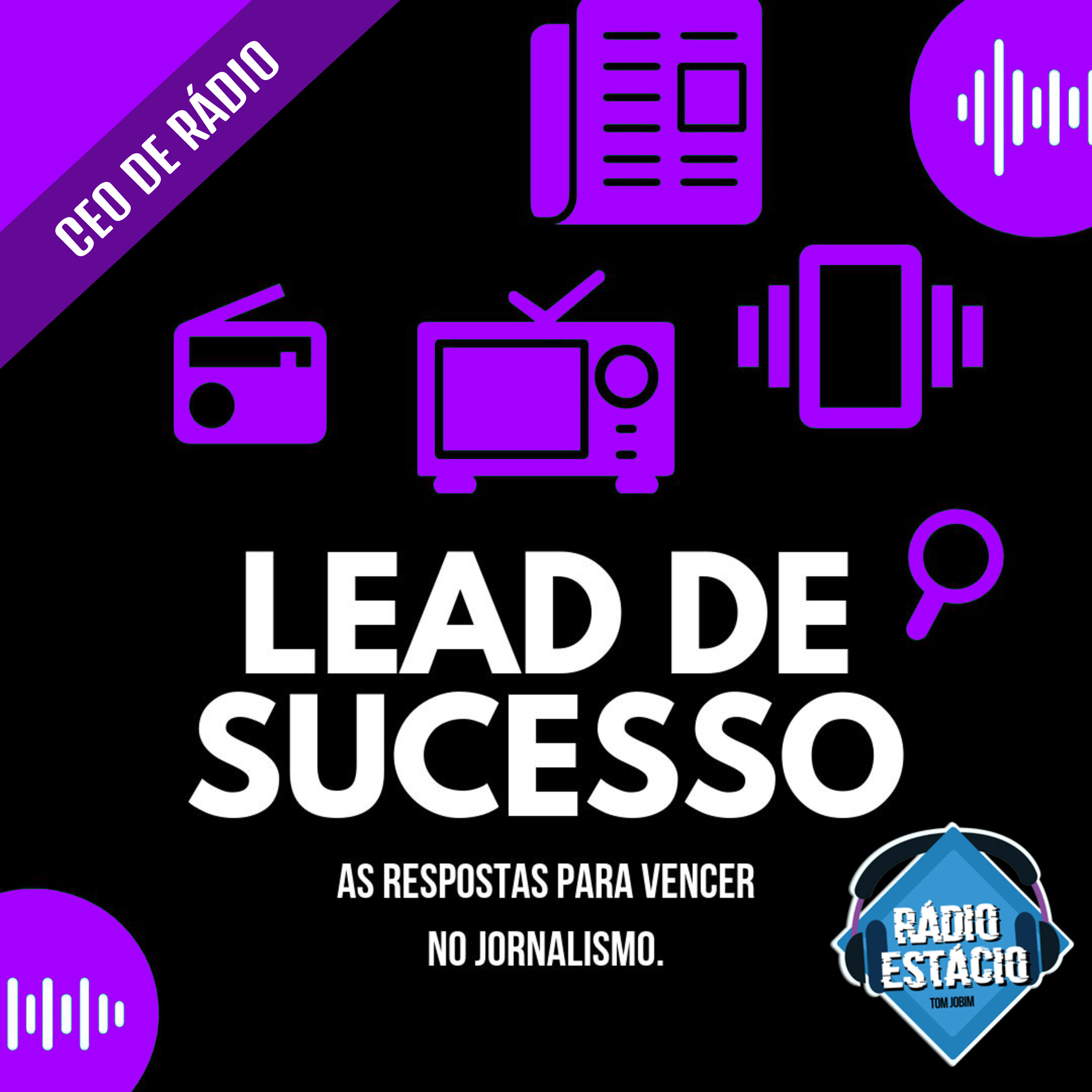 Lead de Sucesso