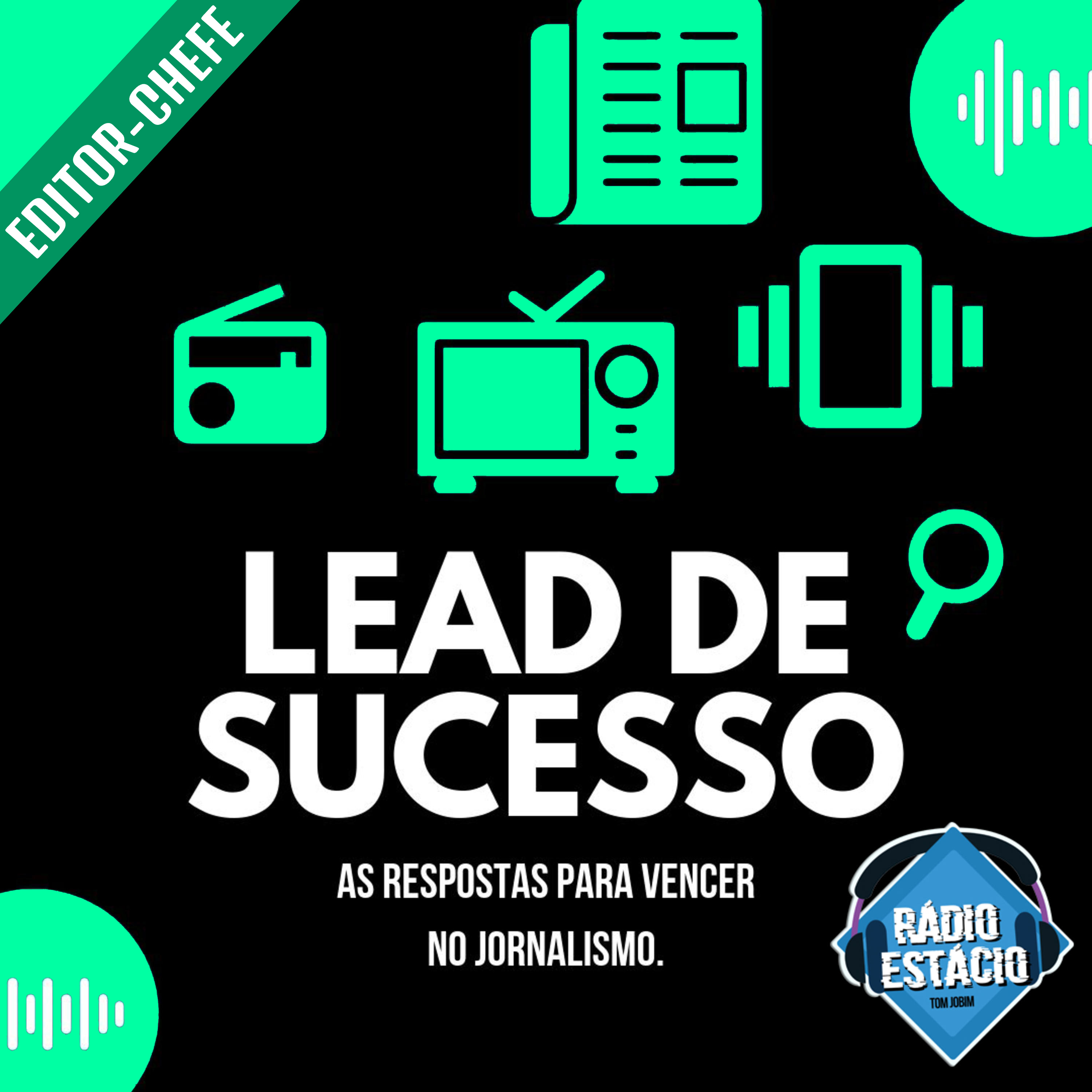 Lead de Sucesso