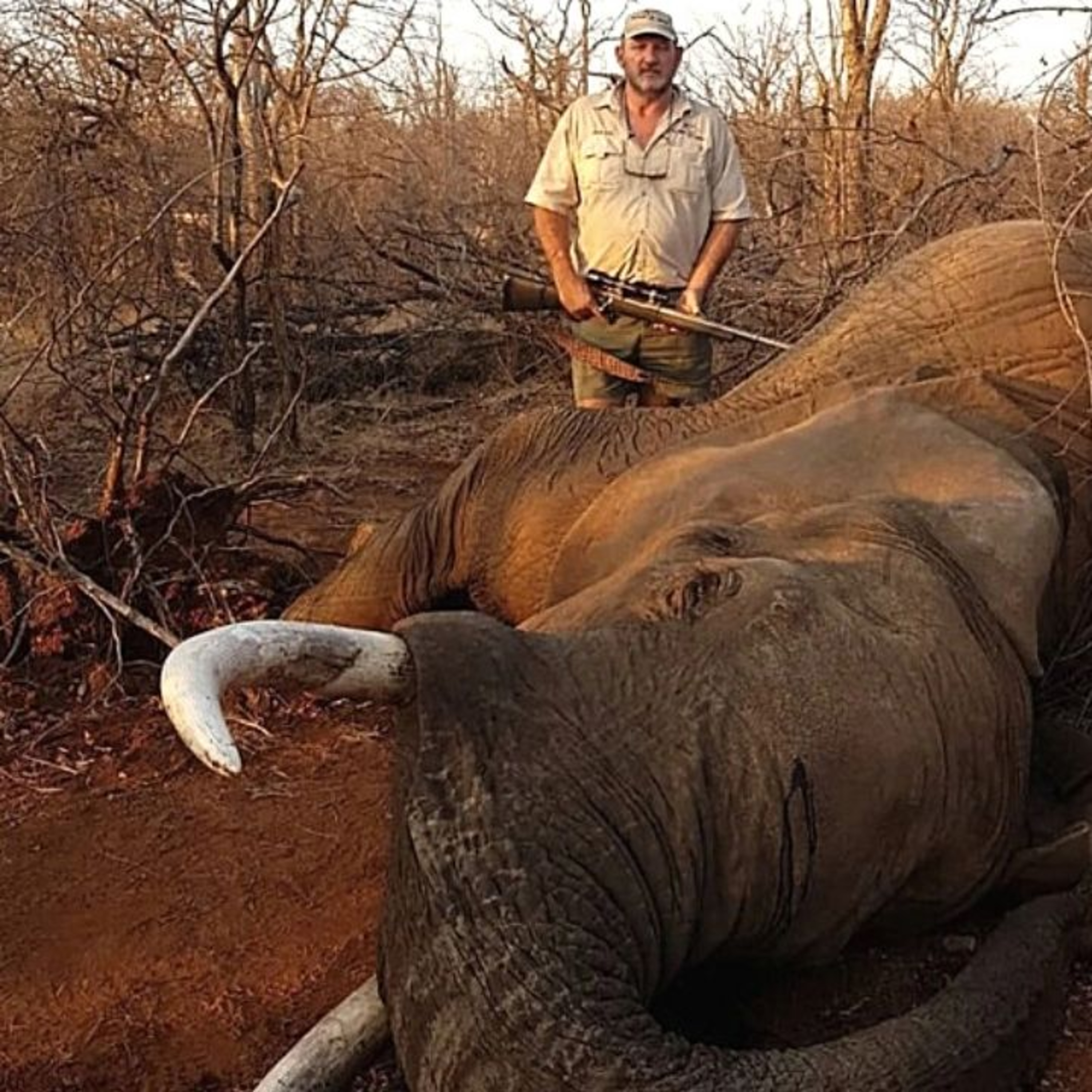 MILLIONAIRE TROPHY HUNTER BECOMES THE HUNTED episode artwork