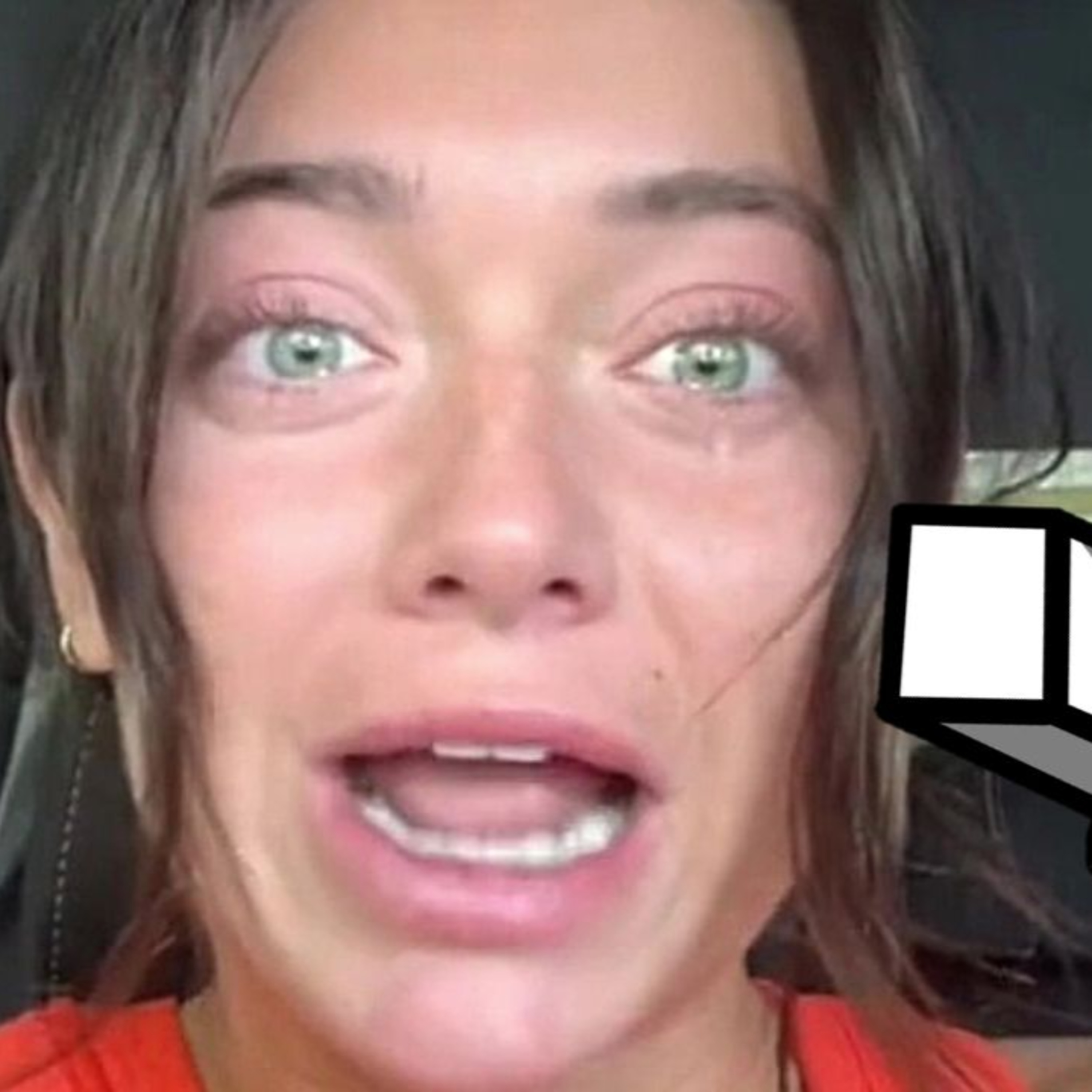 TikTok Girl FORCED To Go On DATE For HER Wallet episode artwork