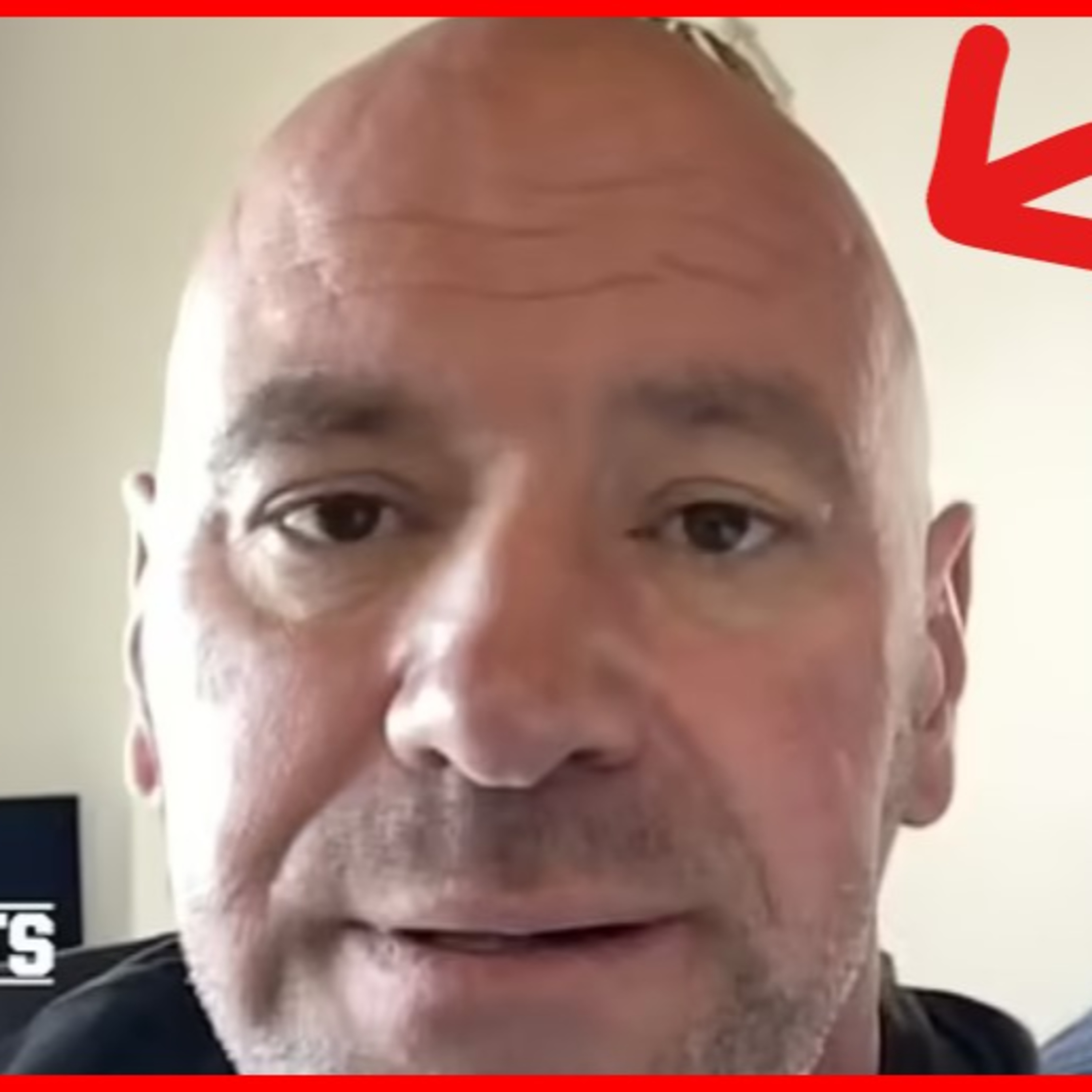 DANA WHITE BRUTALLY SLAPS WIFE OVER AND OVER episode artwork
