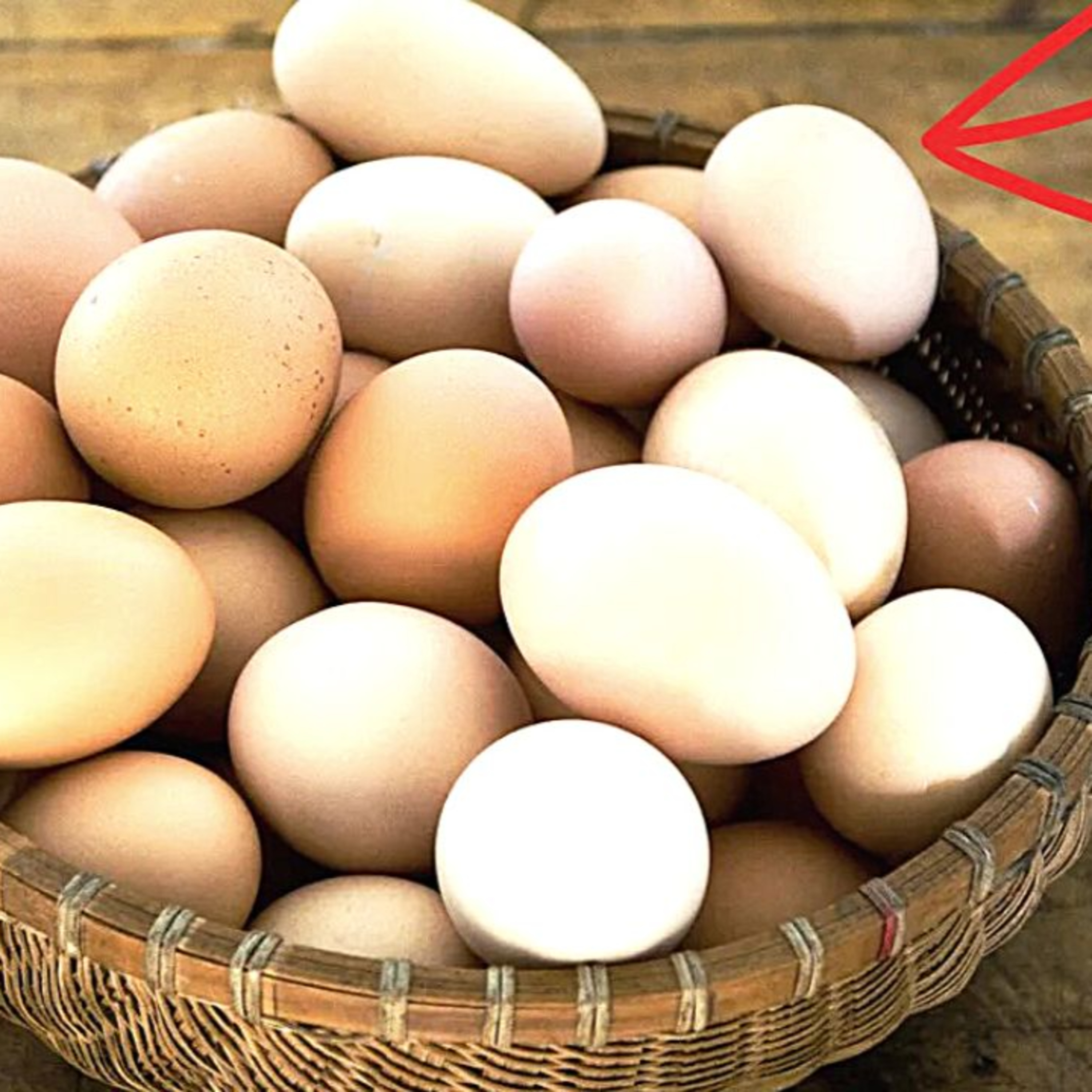 Eggs Are The New Bitcoin episode artwork