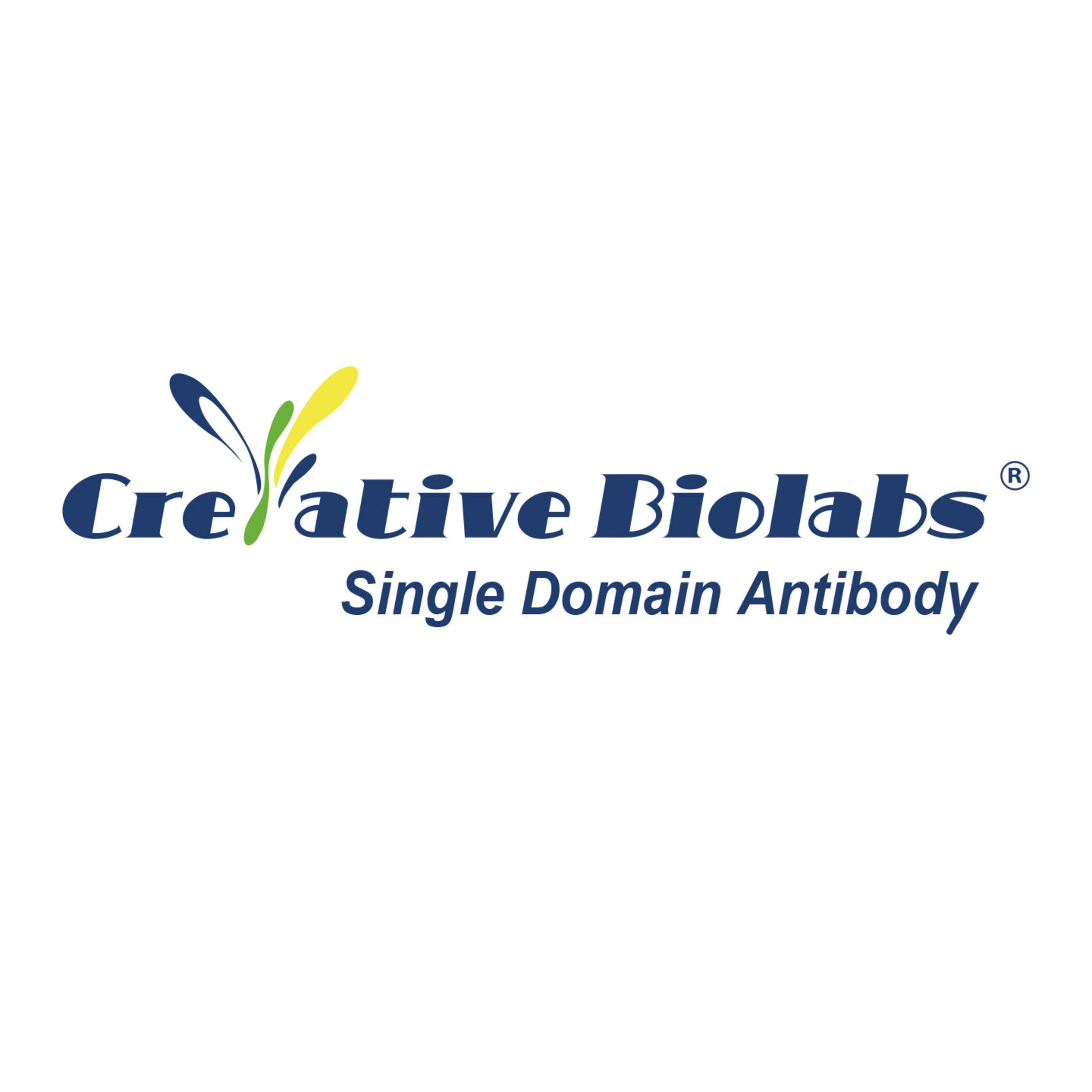Antibody-based pharmaceuticals resource