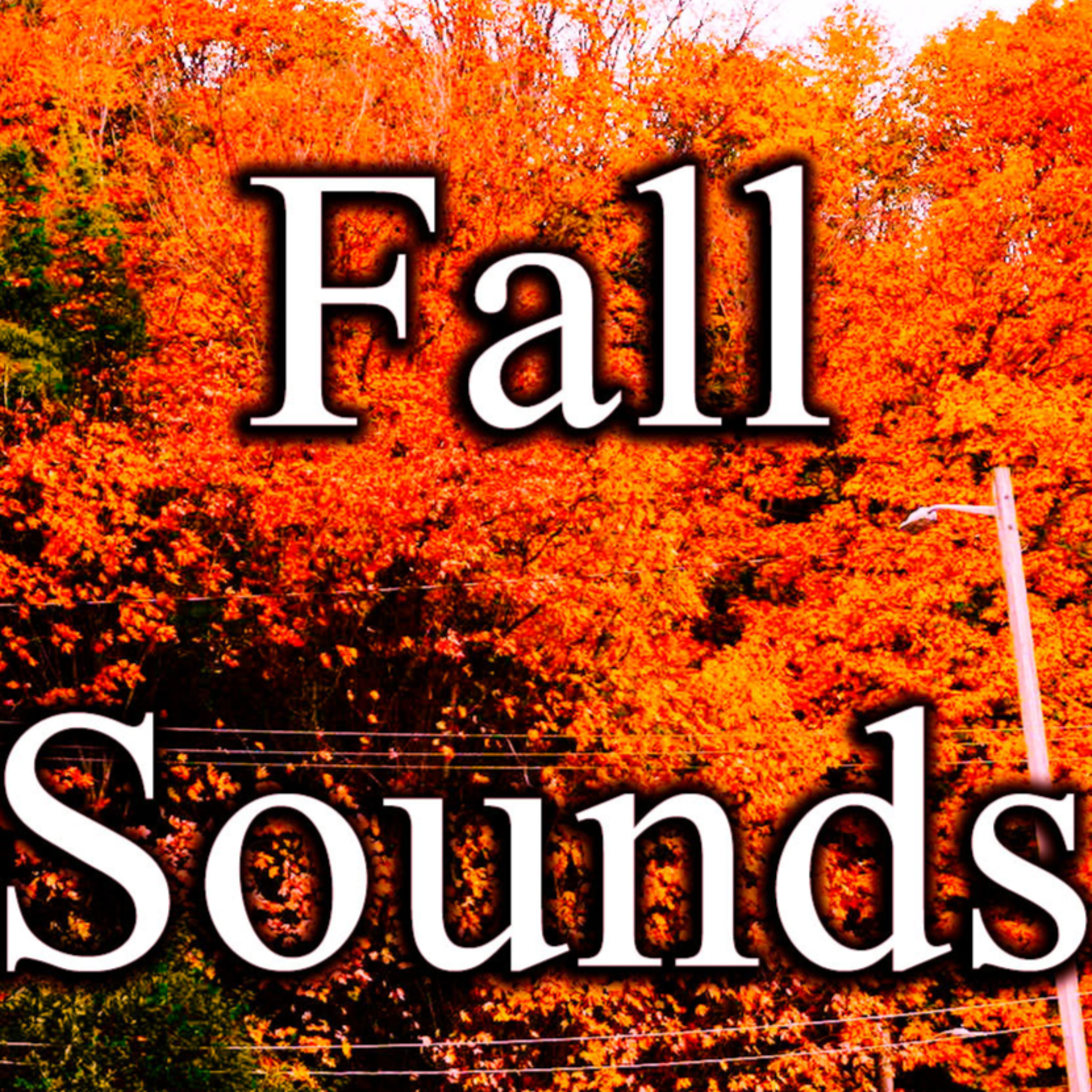Fall Sounds | ASMR | No Talking episode artwork