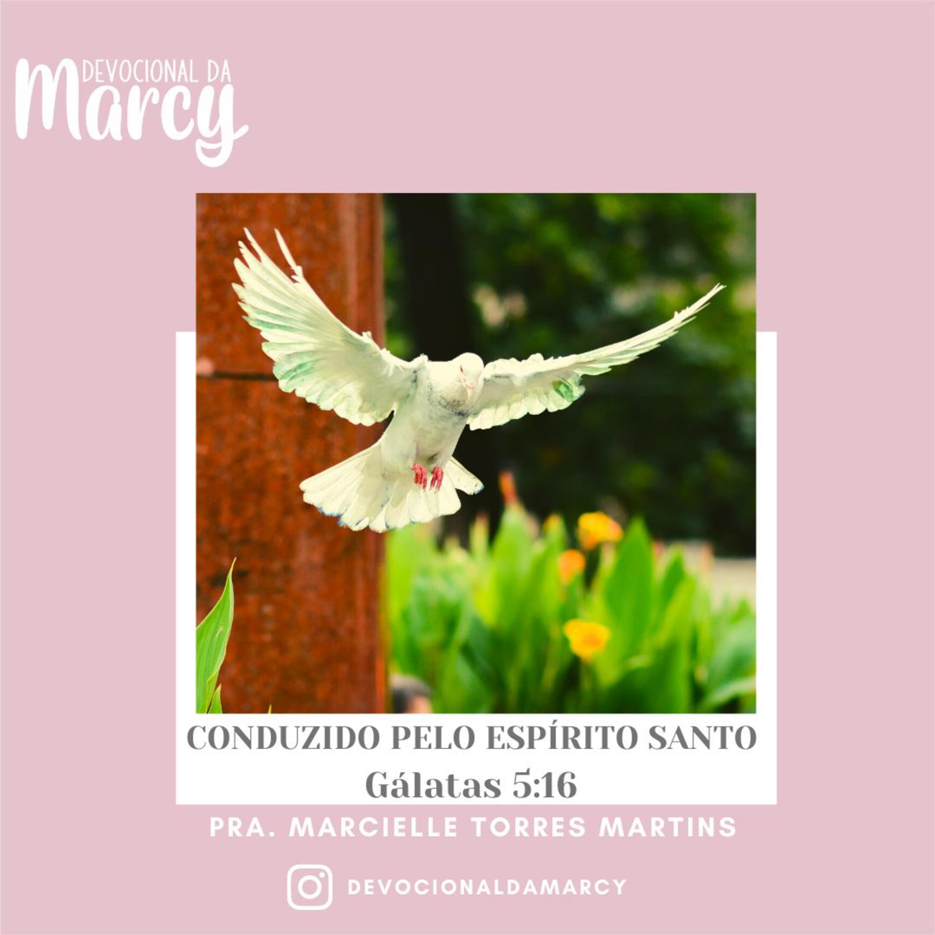 Conduzido Pelo Espírito Santo episode artwork