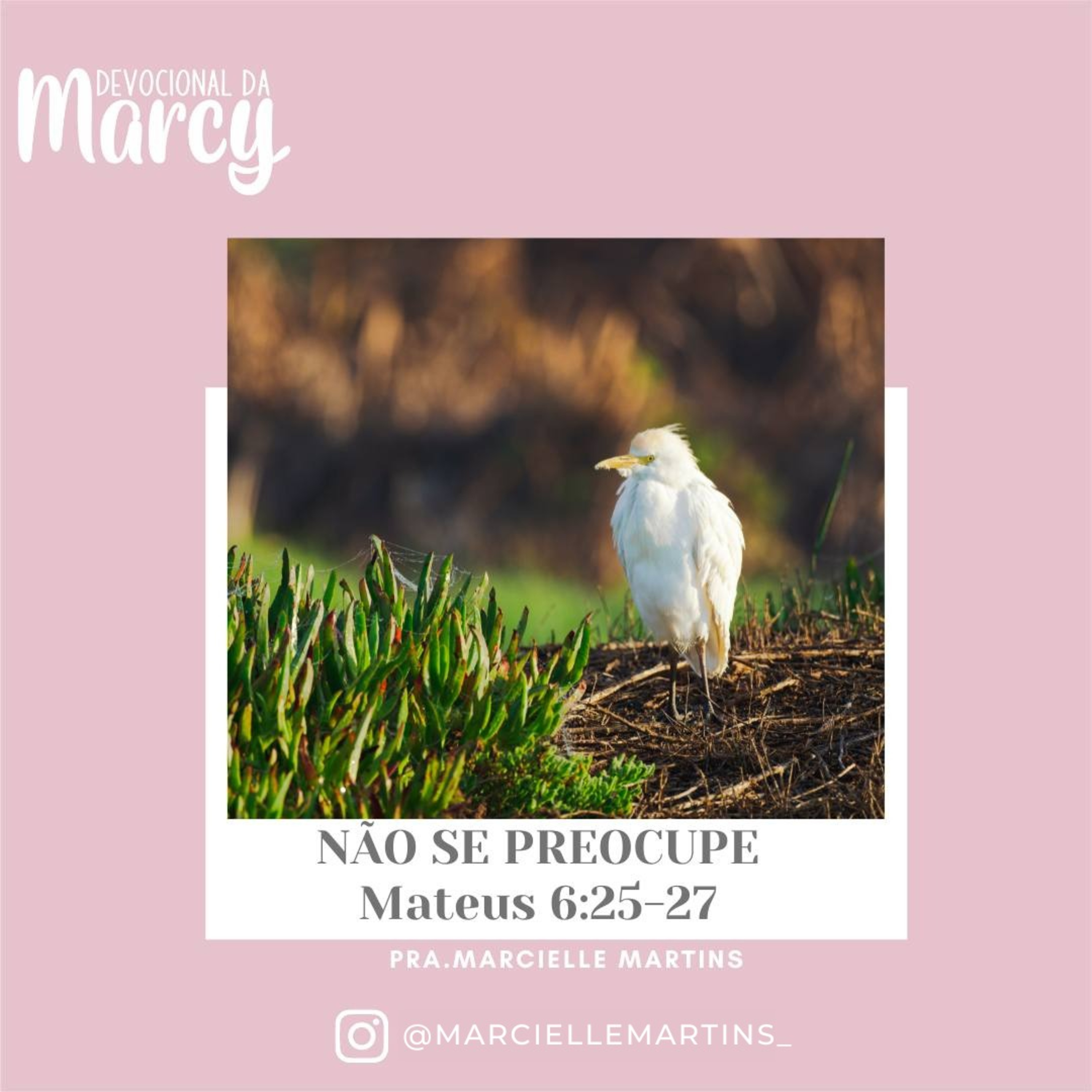 Marcielle Martins