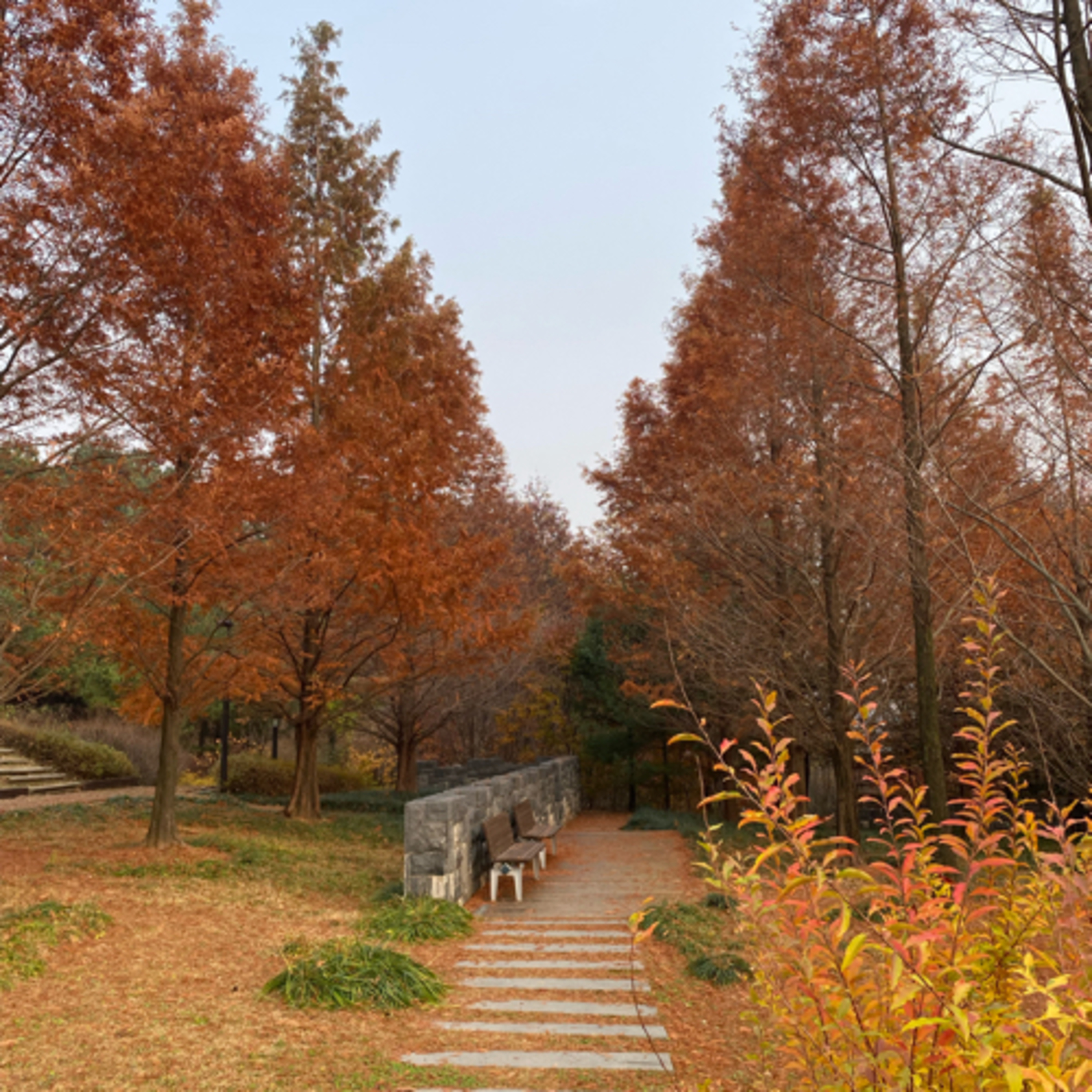 norakorea 大人の韓国_韓国からのひとりごと