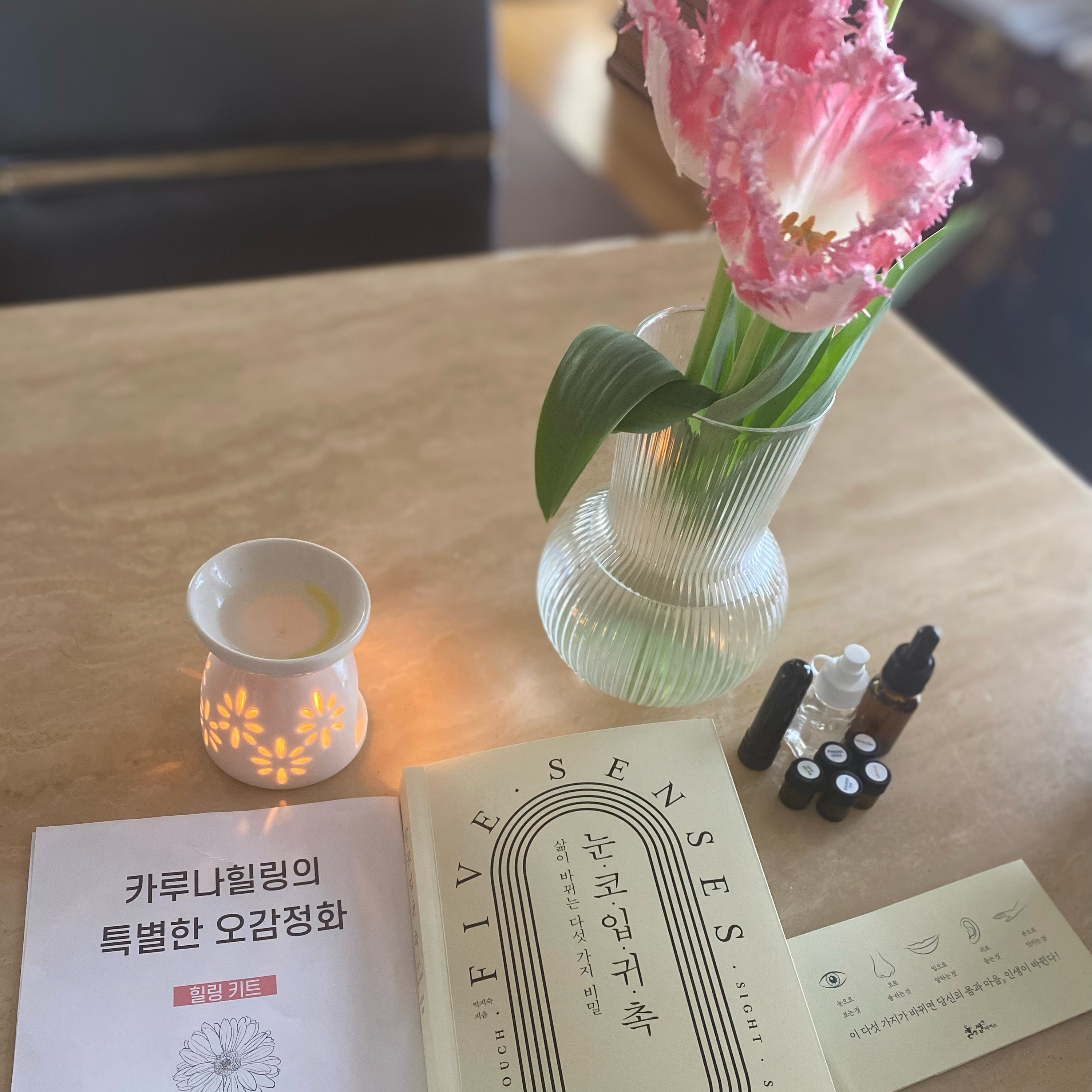 norakorea 大人の韓国_韓国からのひとりごと